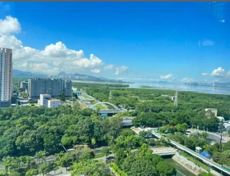 Hampton By Hilton Shenzhen Futian Mangrove Park Apartments