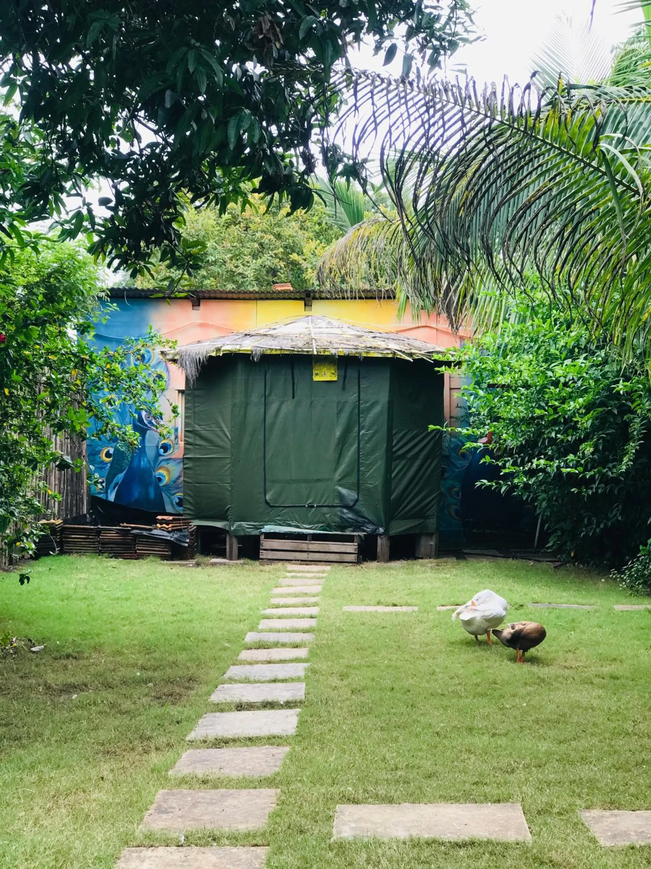 Tent - single occupancy in Ingawale farmhouse (agro tourism)