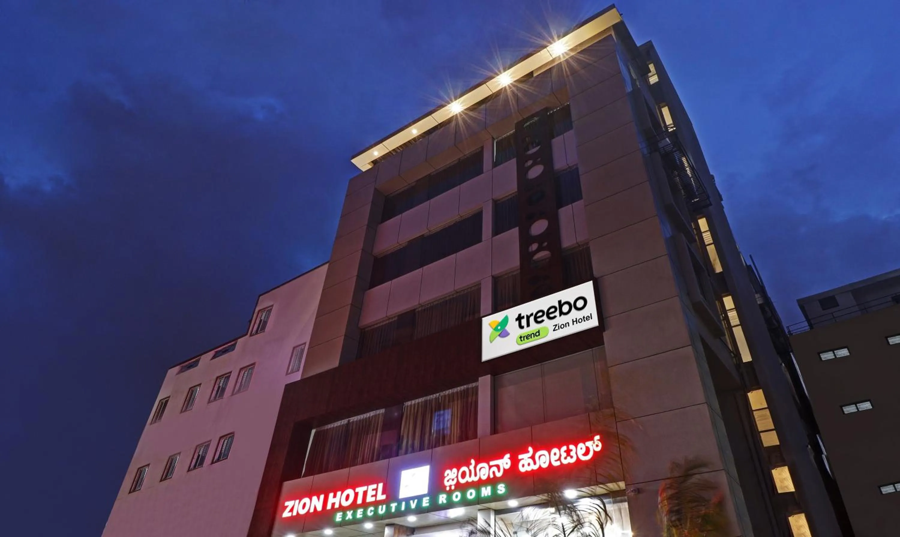 Property building in Treebo Zion