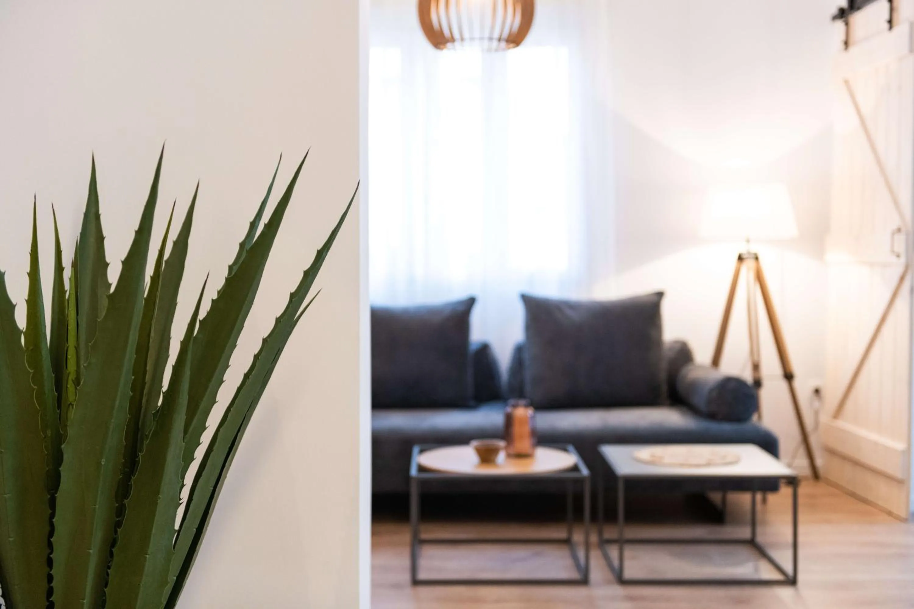 Living room in Modita Boutique Apartments