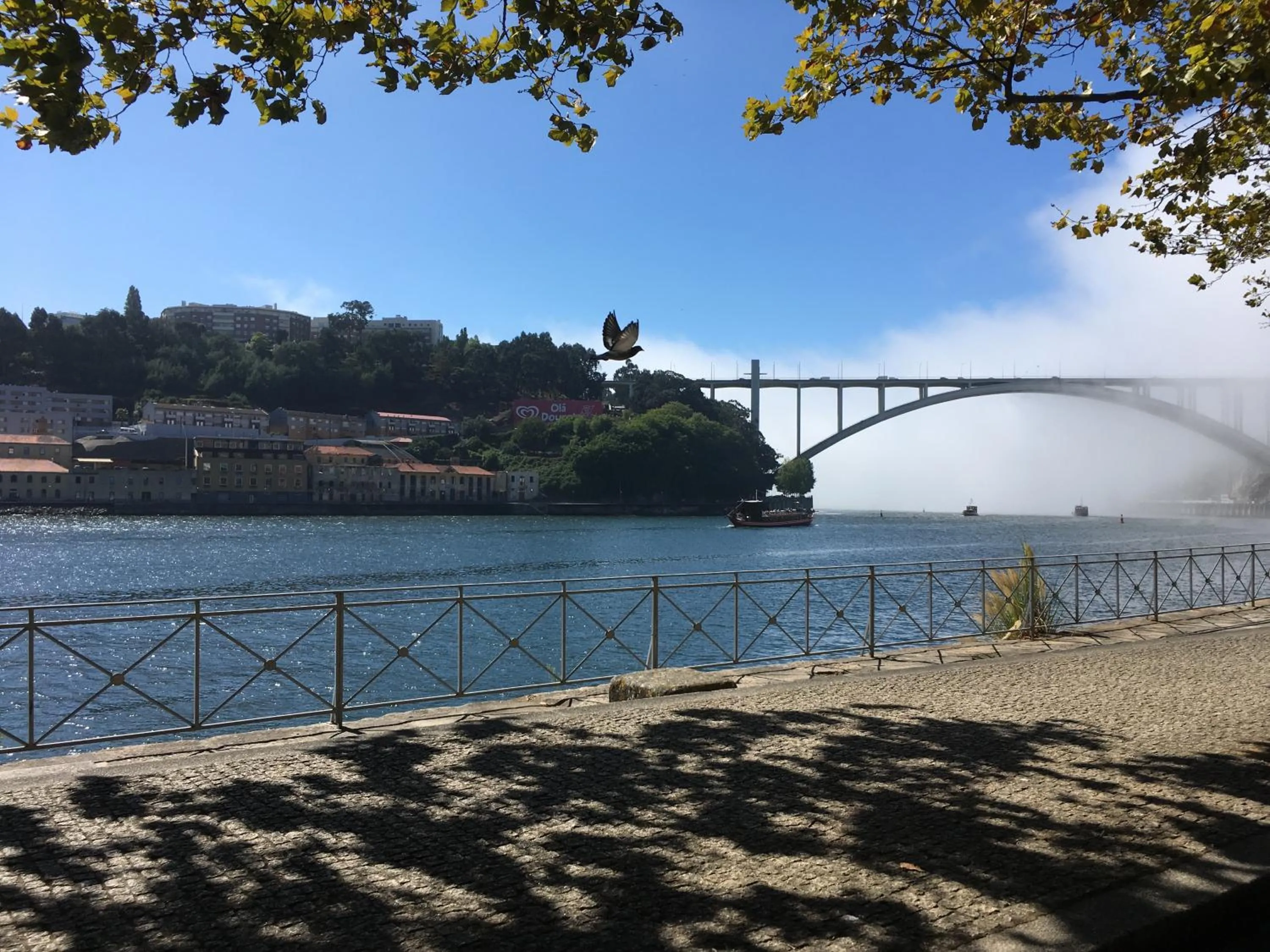 Nearby landmark in LovePorto2 Balcony/Garden@Hist.C