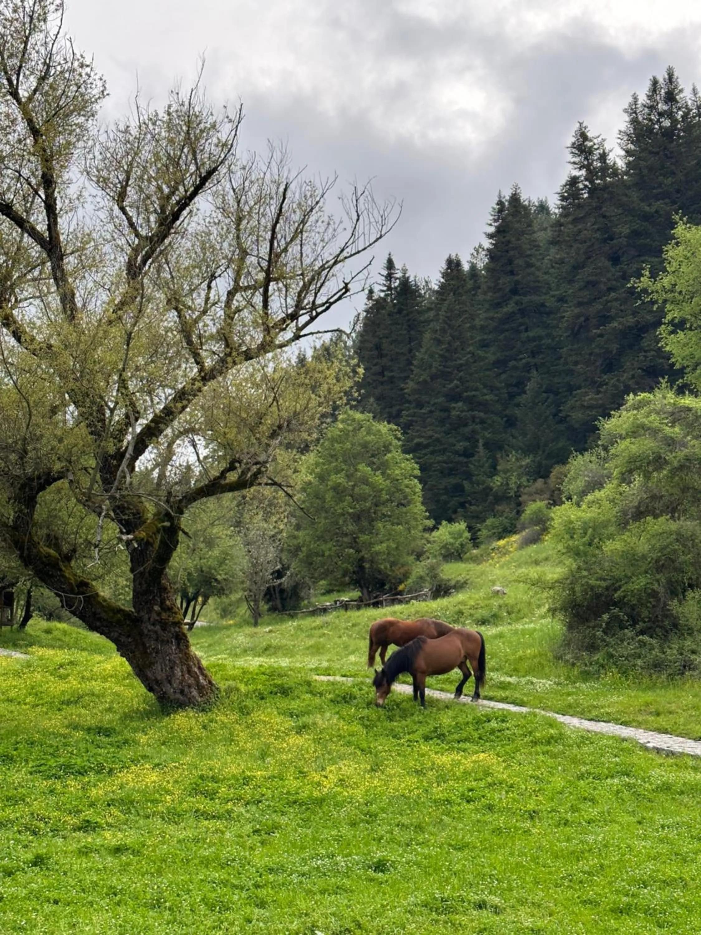 Natural landscape in MANNA, a Member of Design Hotels