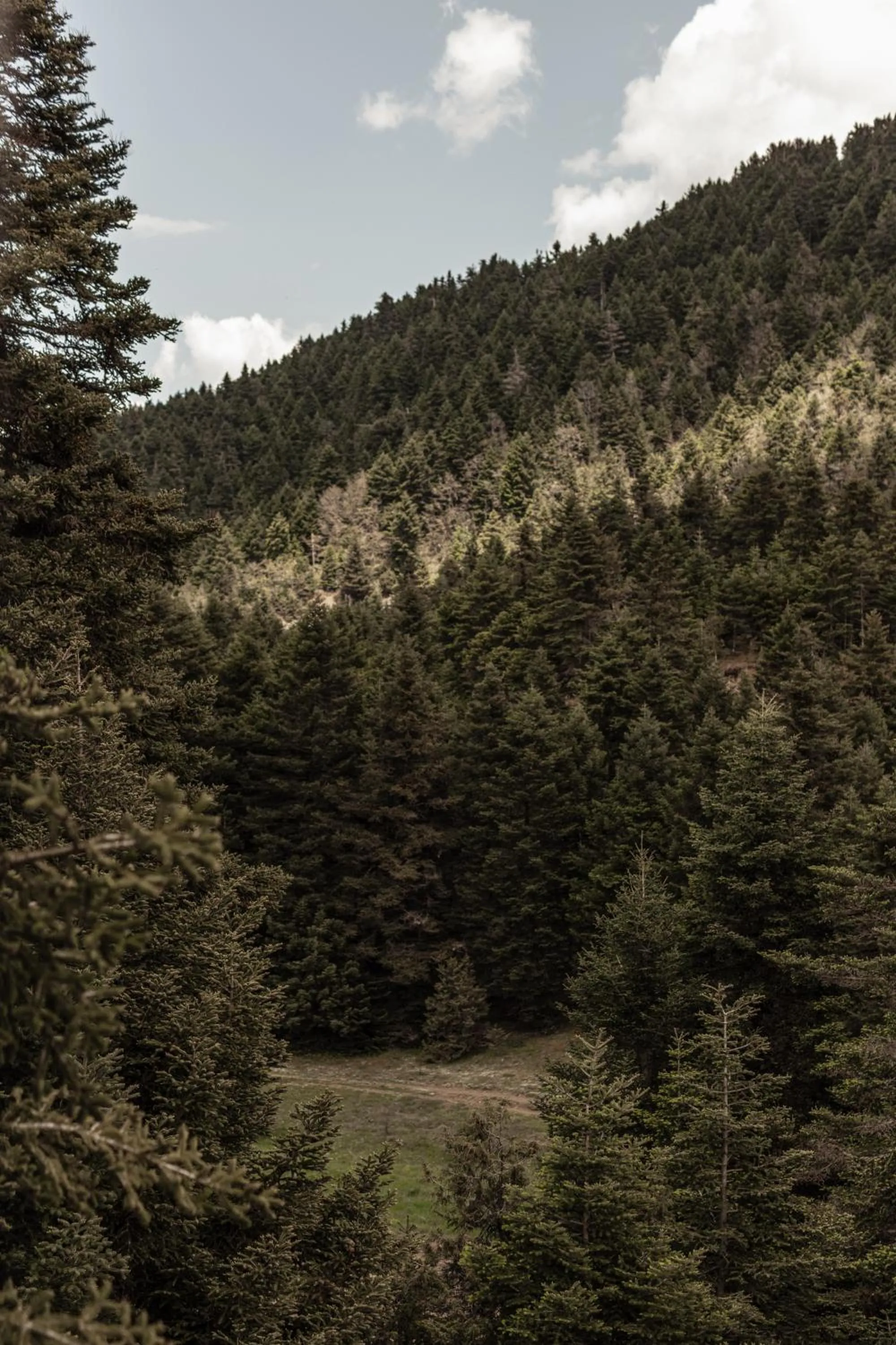 View (from property/room) in MANNA, a Member of Design Hotels