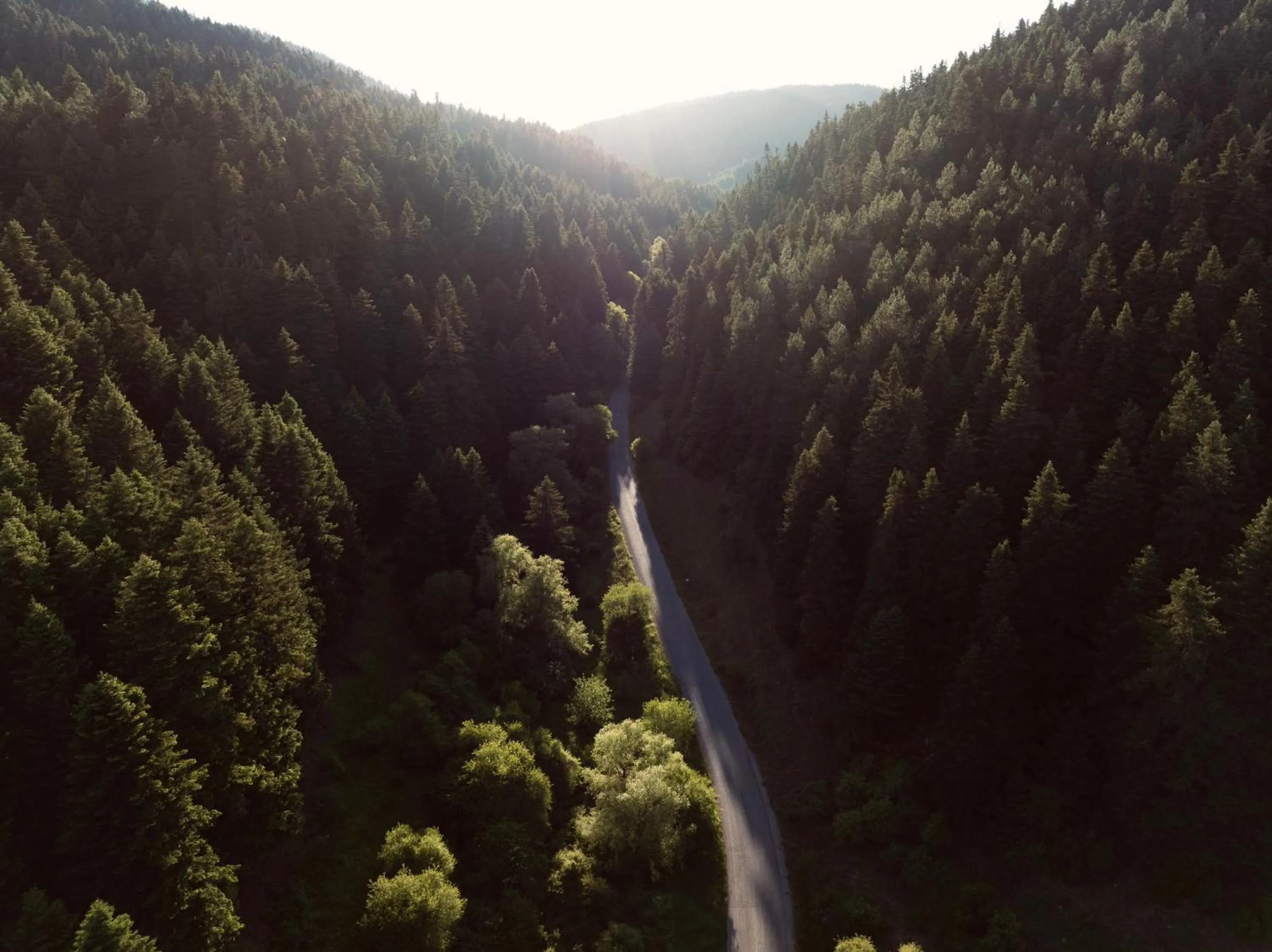 MANNA, a Member of Design Hotels