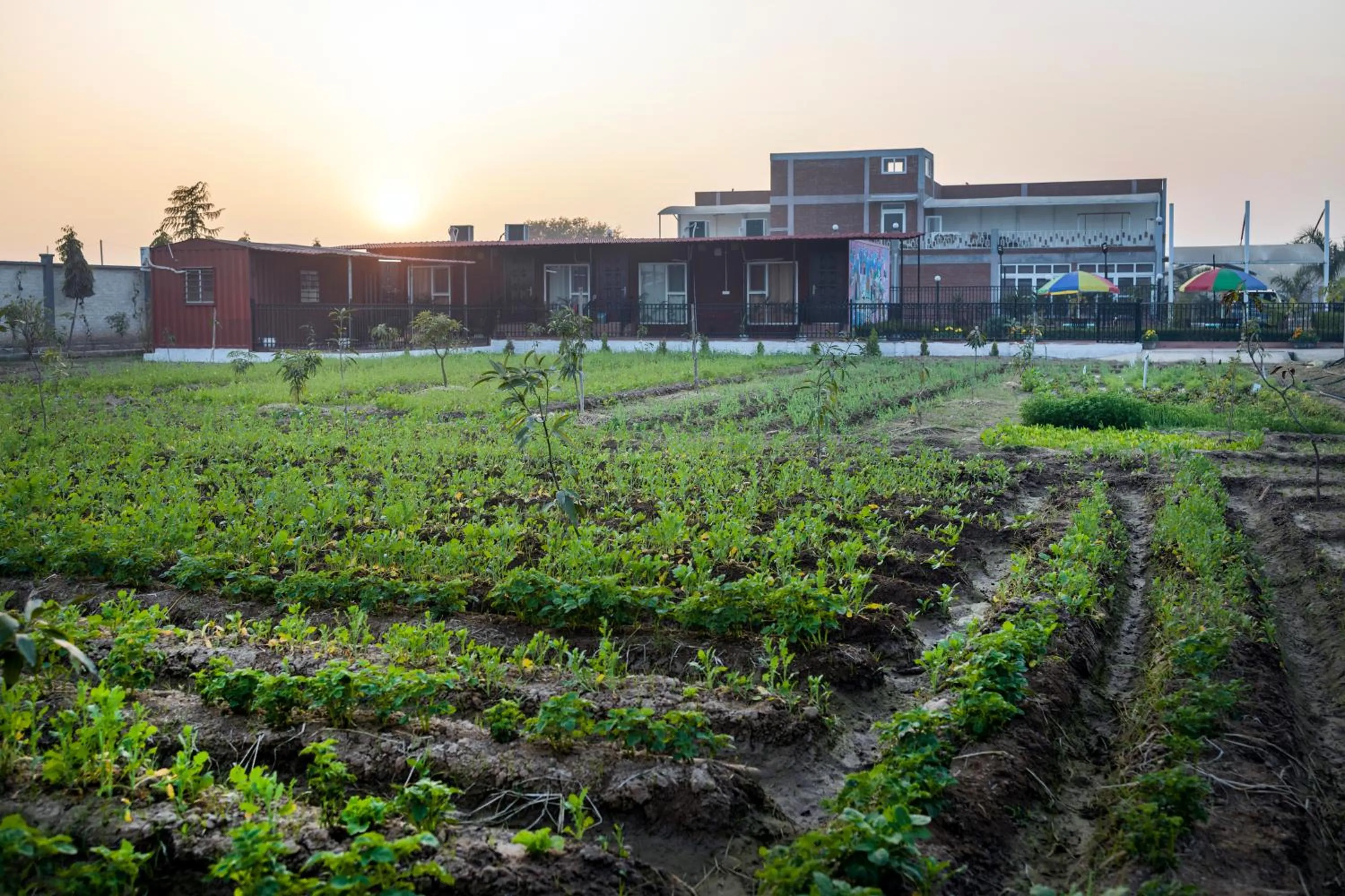 Garden in InnBox Farmstay - Rajpura Punjab