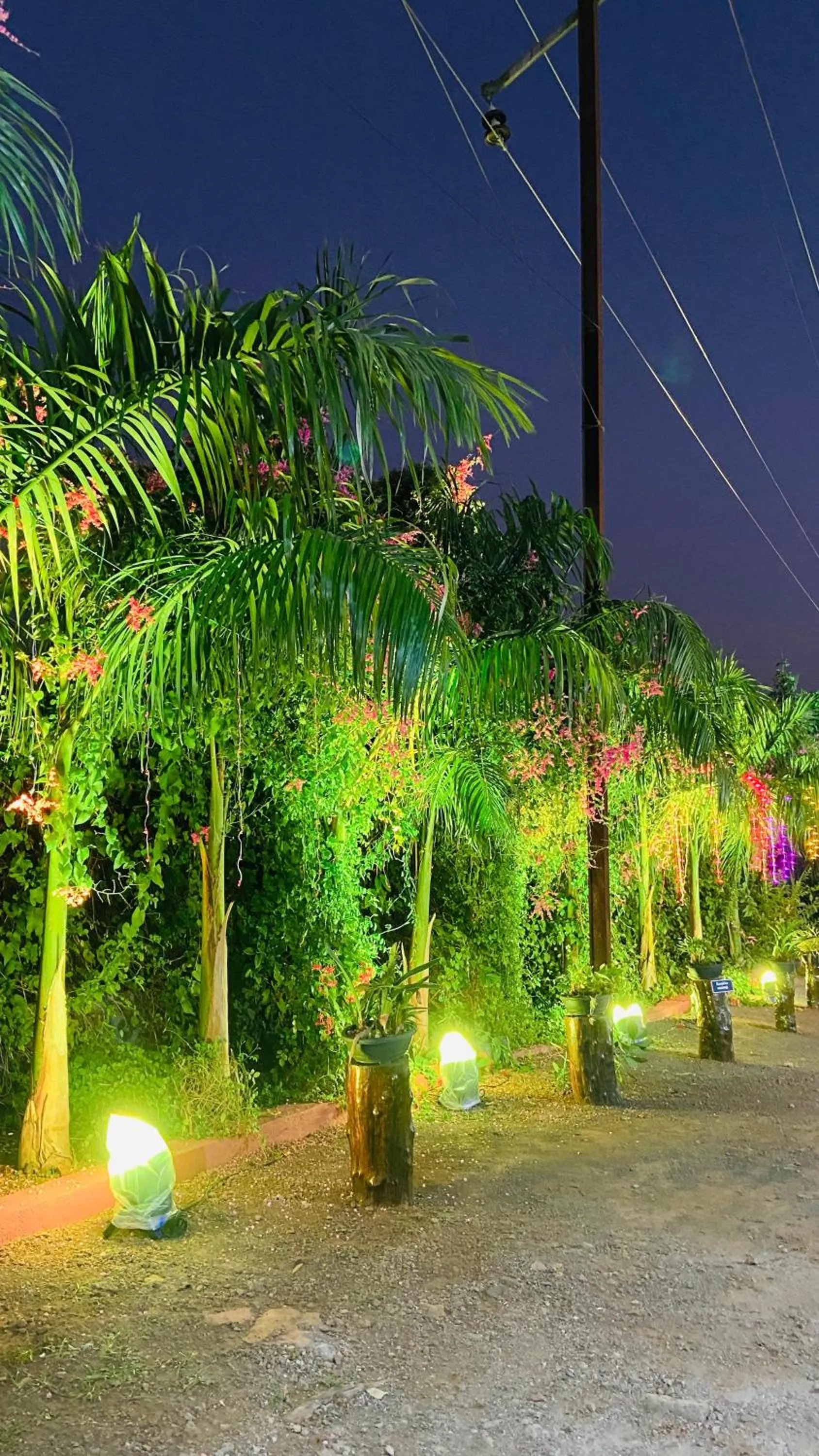 Night in Ashoka Lawns and Resort