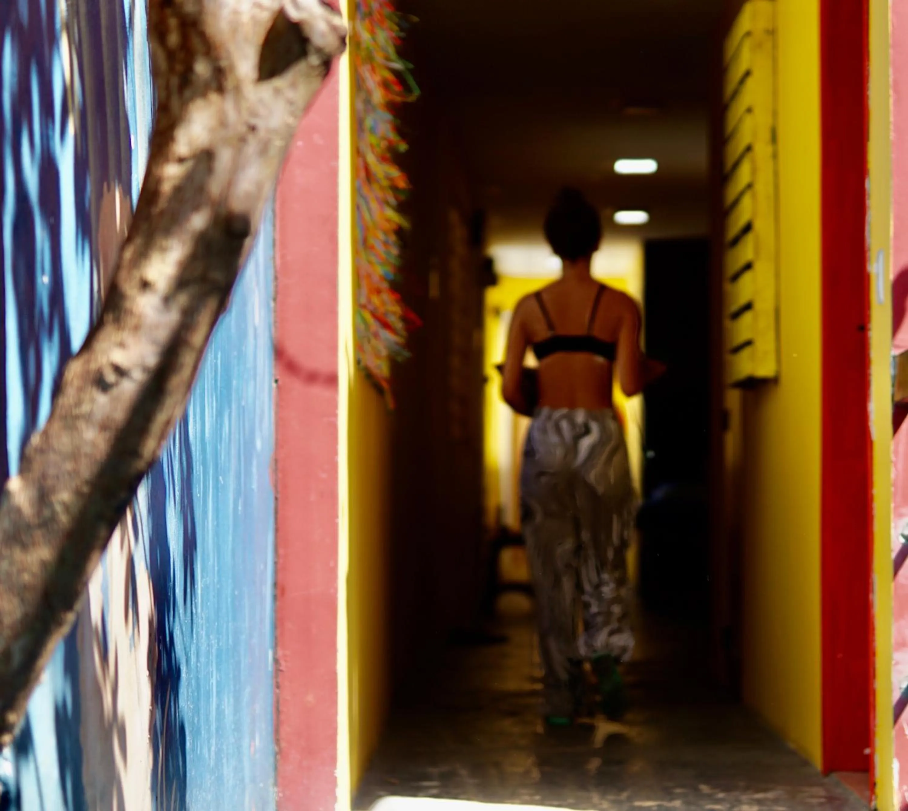 Guests in Hostel do Rasta