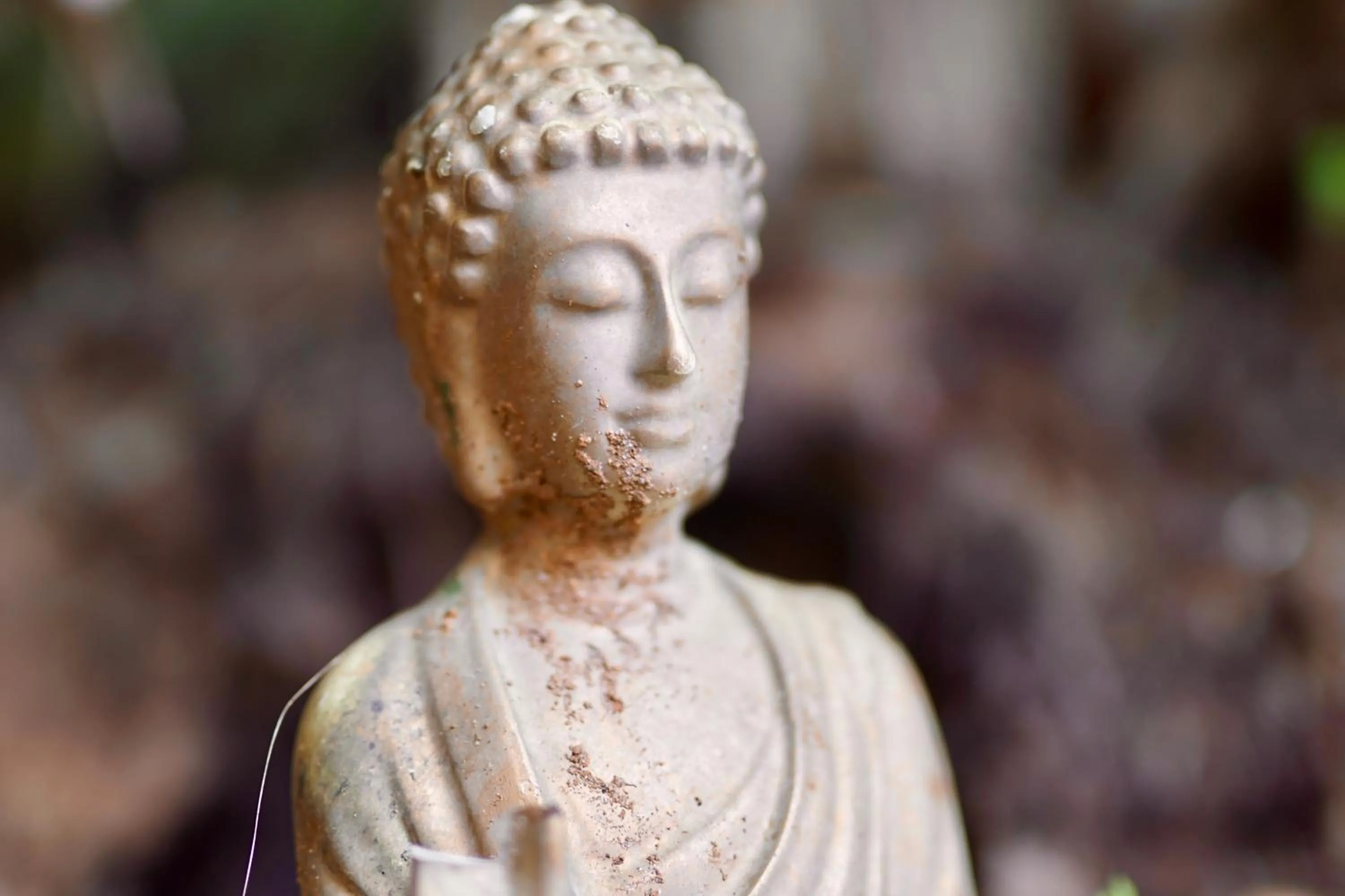 Property building in Hostel do Rasta