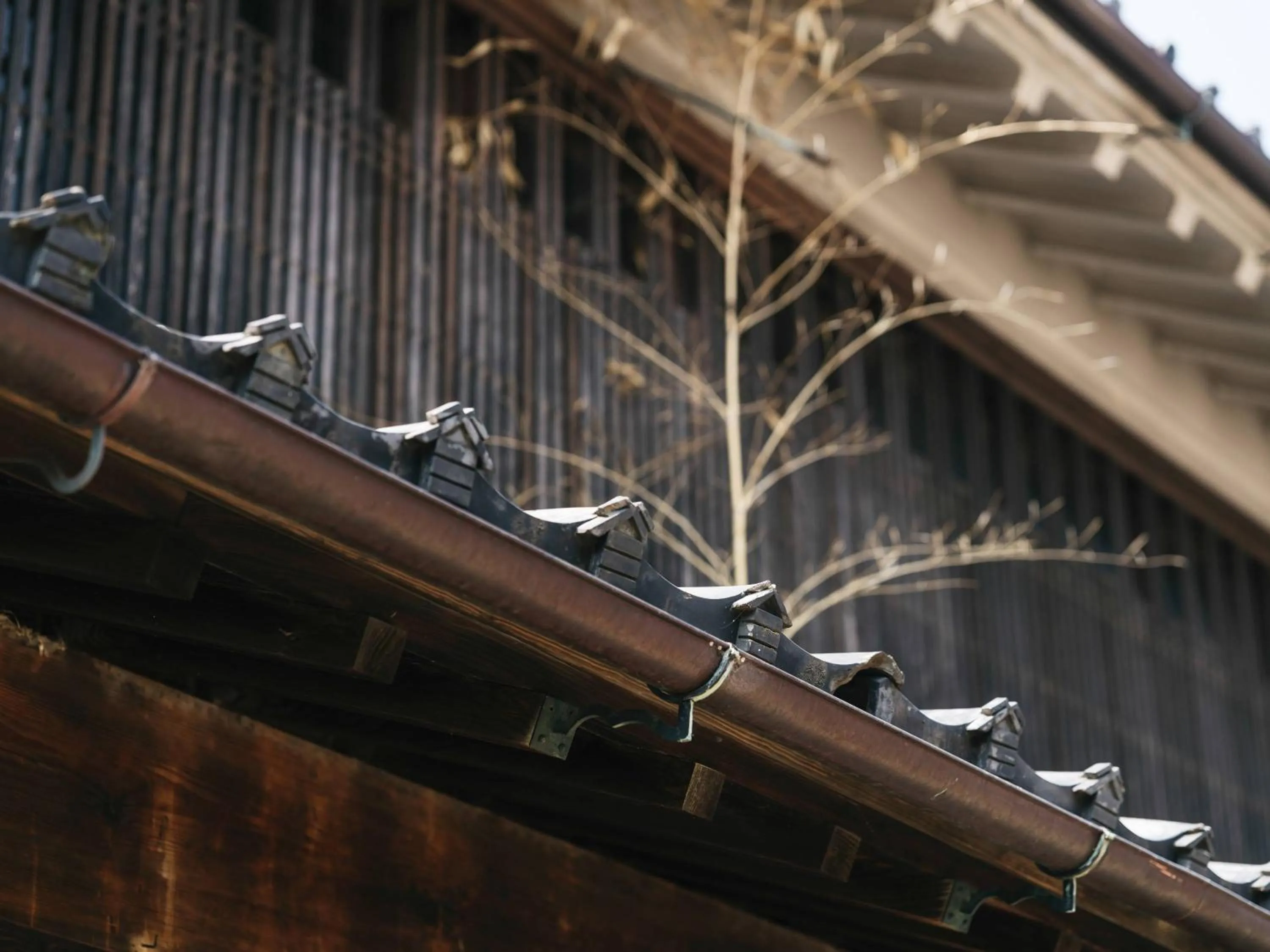 Other in RITA Izumo Hirata