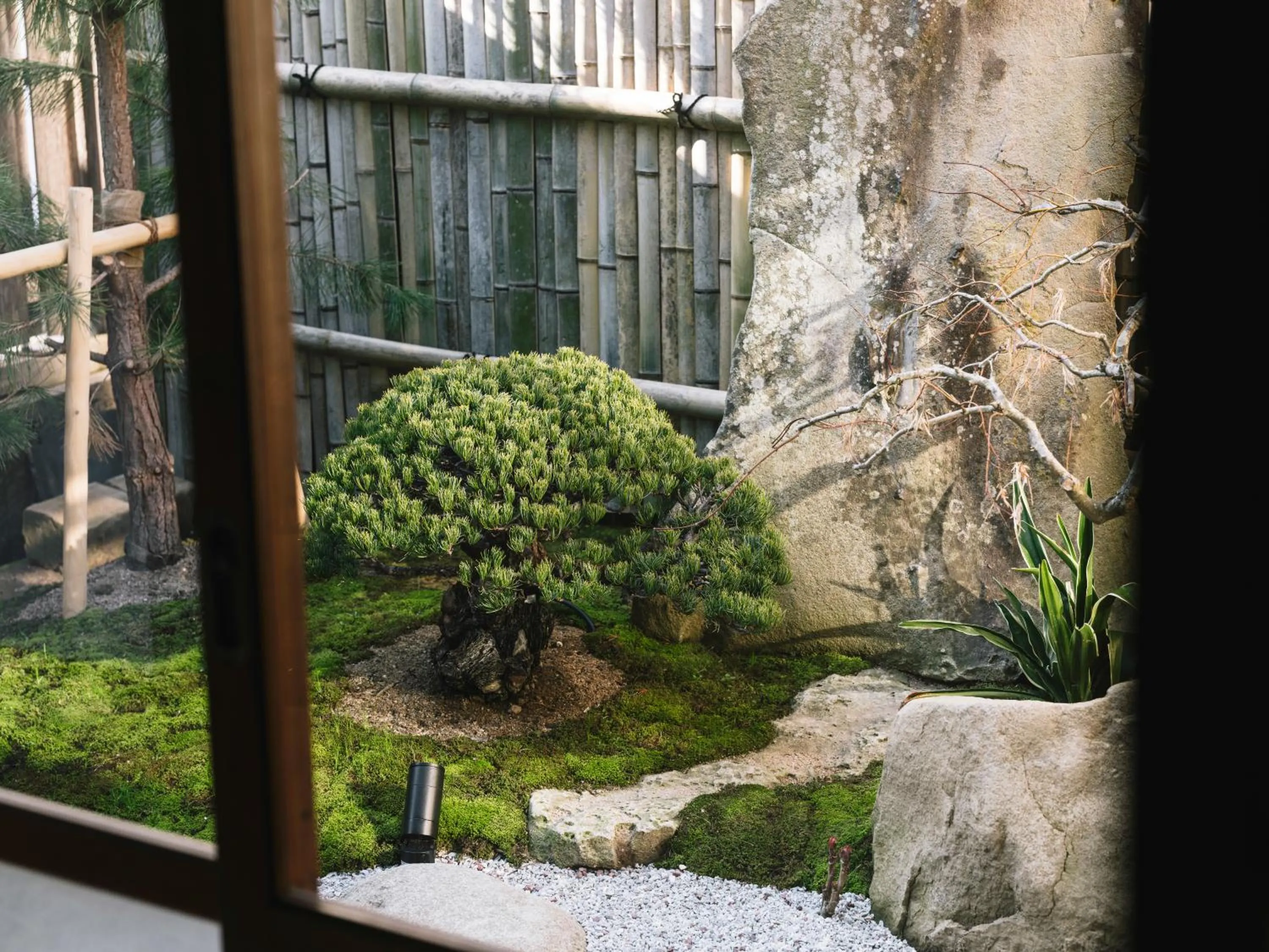 Garden in RITA Izumo Hirata