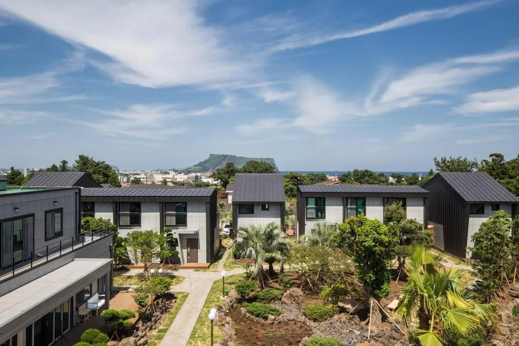 Garden in THE SOME PENSION