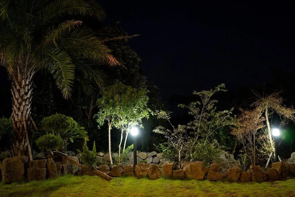 The Some Plus Onpyeong