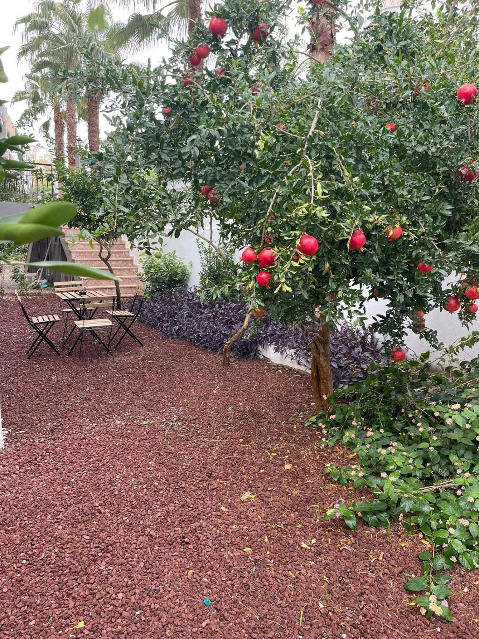 BBQ facilities in ABC Apart Hotel