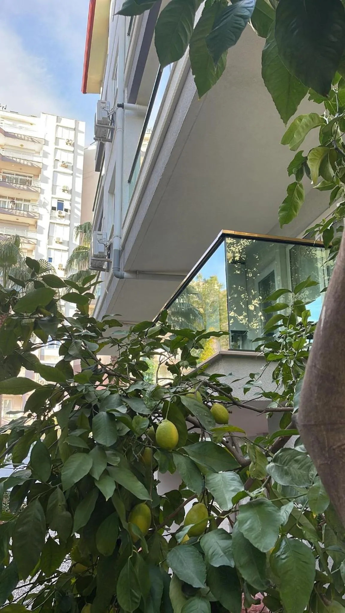 Garden in ABC Apart Hotel