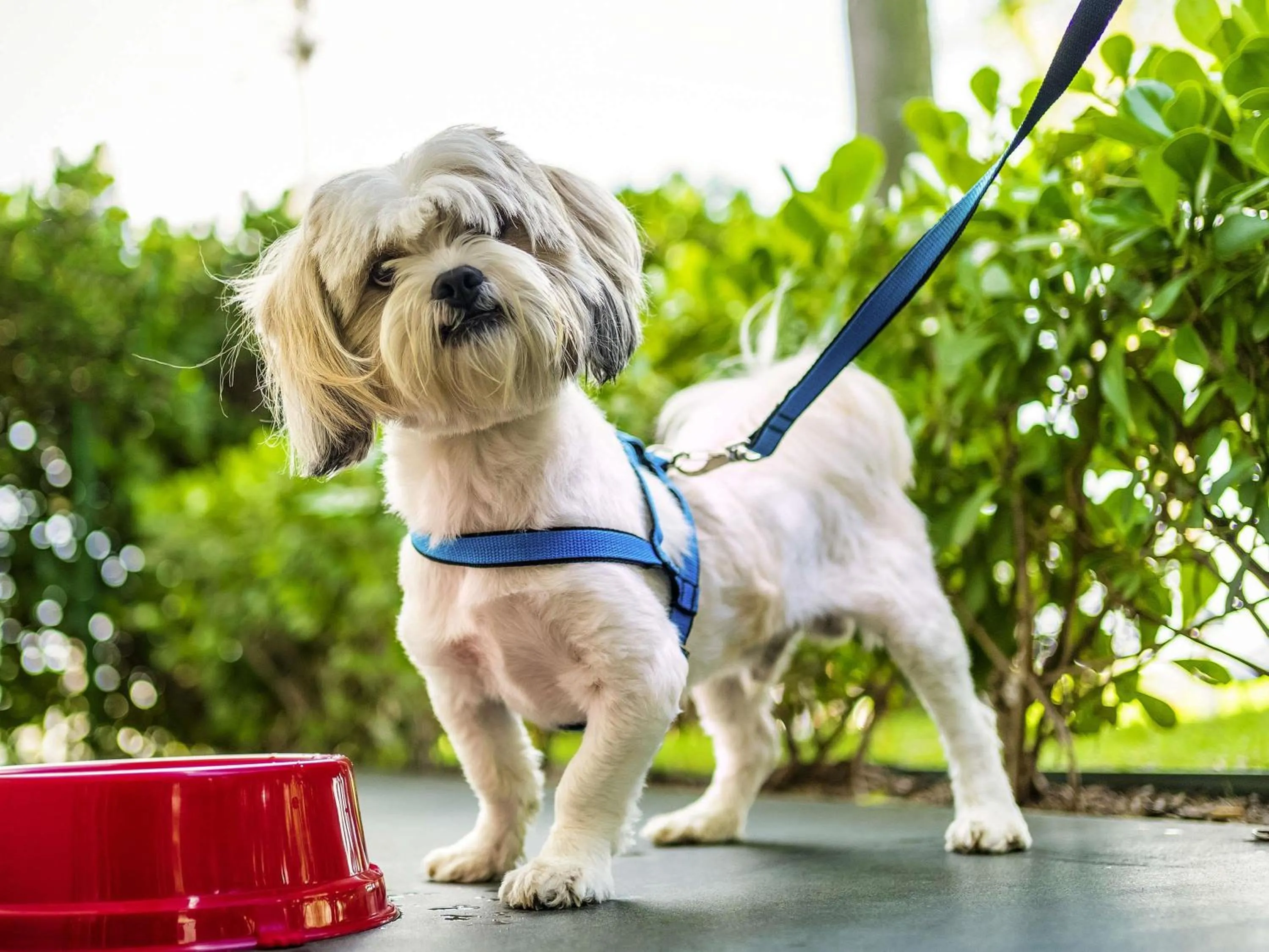 Other in ibis Sorocaba