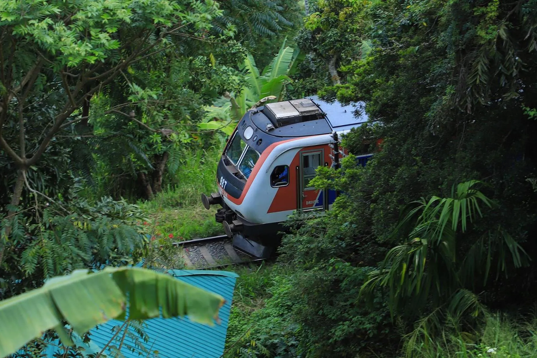 Natural landscape in Ella Bamboo Cabana