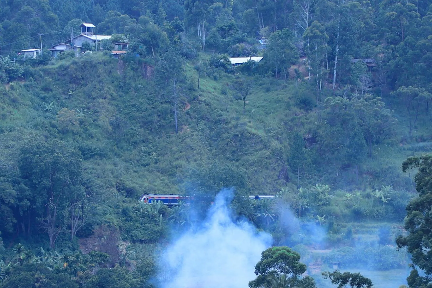 Natural landscape in Ella Bamboo Cabana