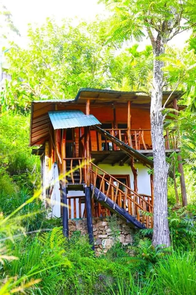 Property building in Ella Bamboo Cabana