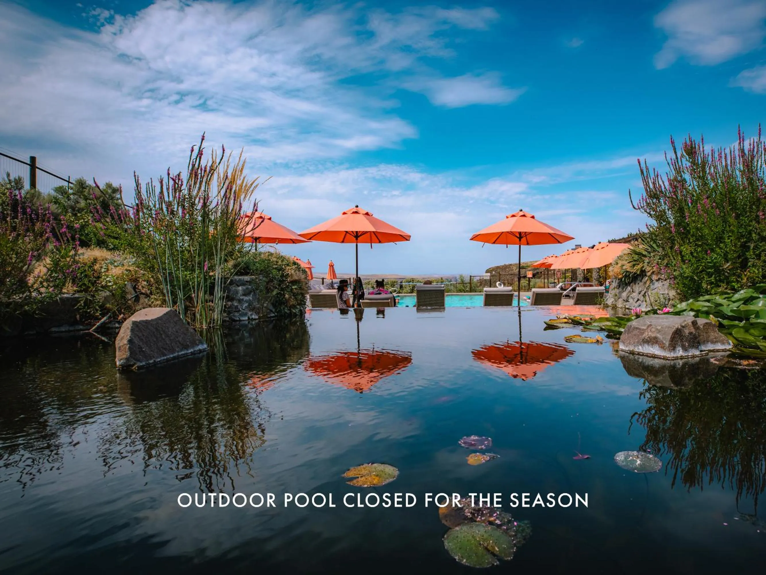 Natural landscape in Sagecliffe Resort & Spa