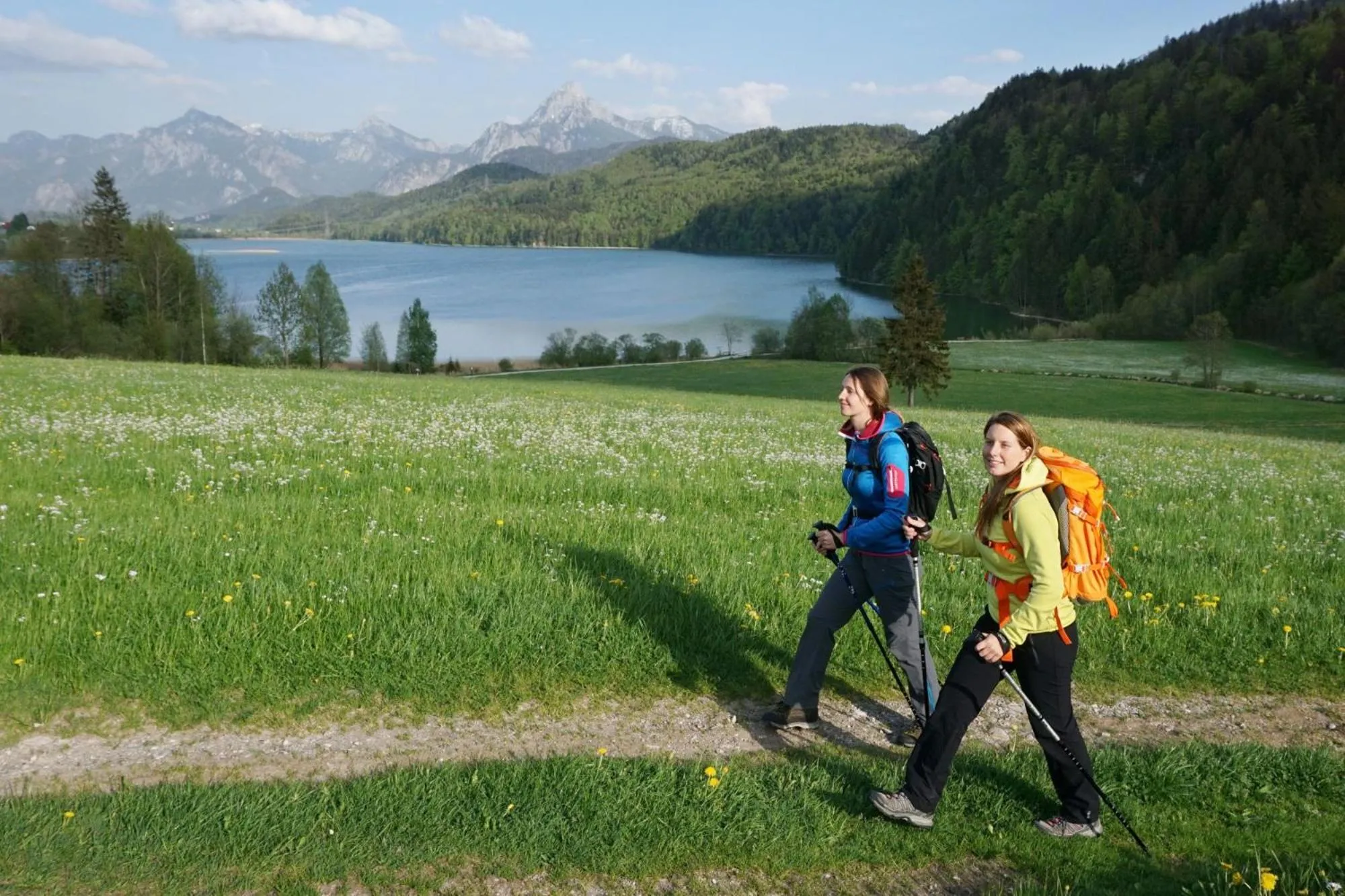 Natural landscape in Chalet am Breitenberg Appartement CB 11
