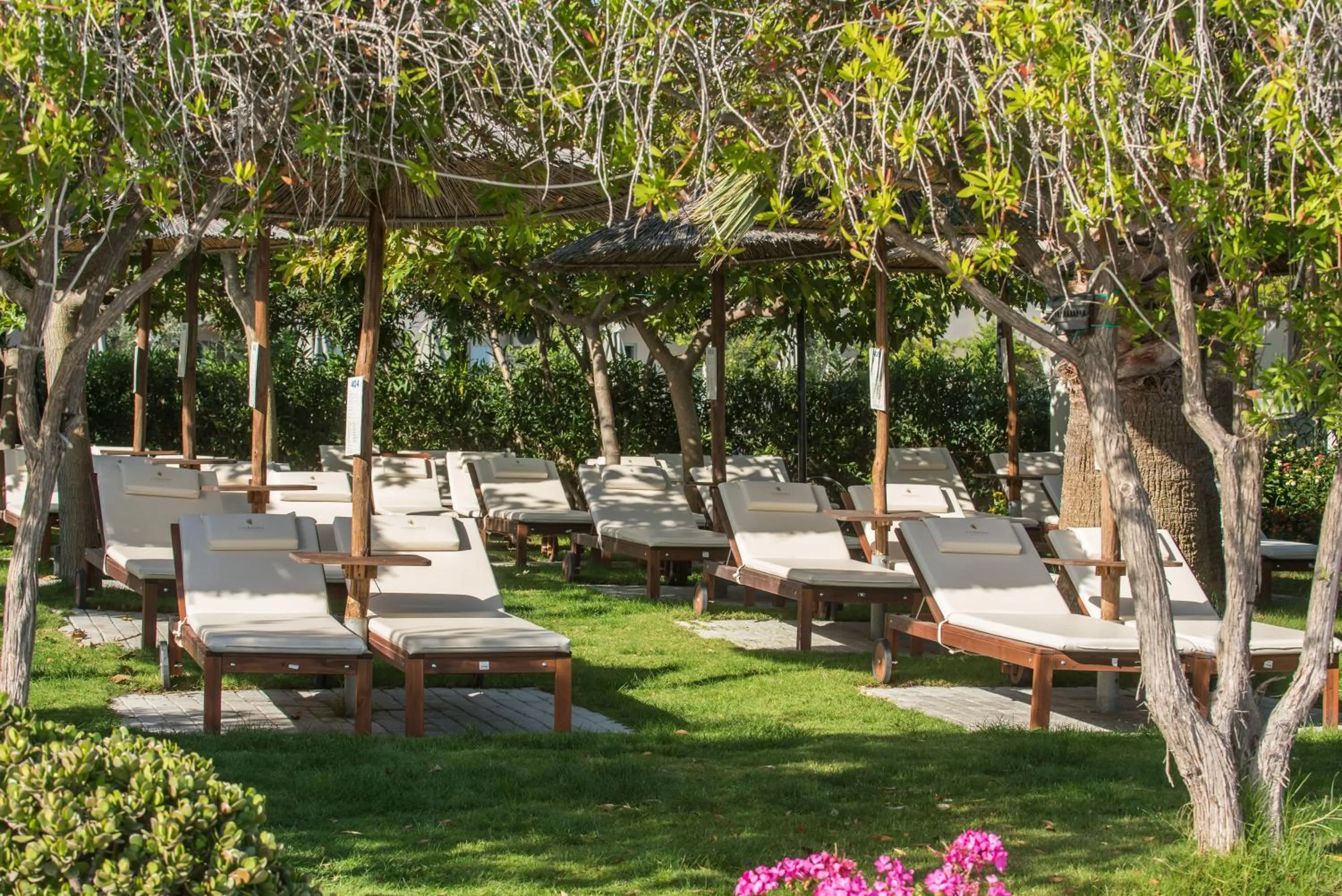 Swimming pool in Corissia Beach hotel