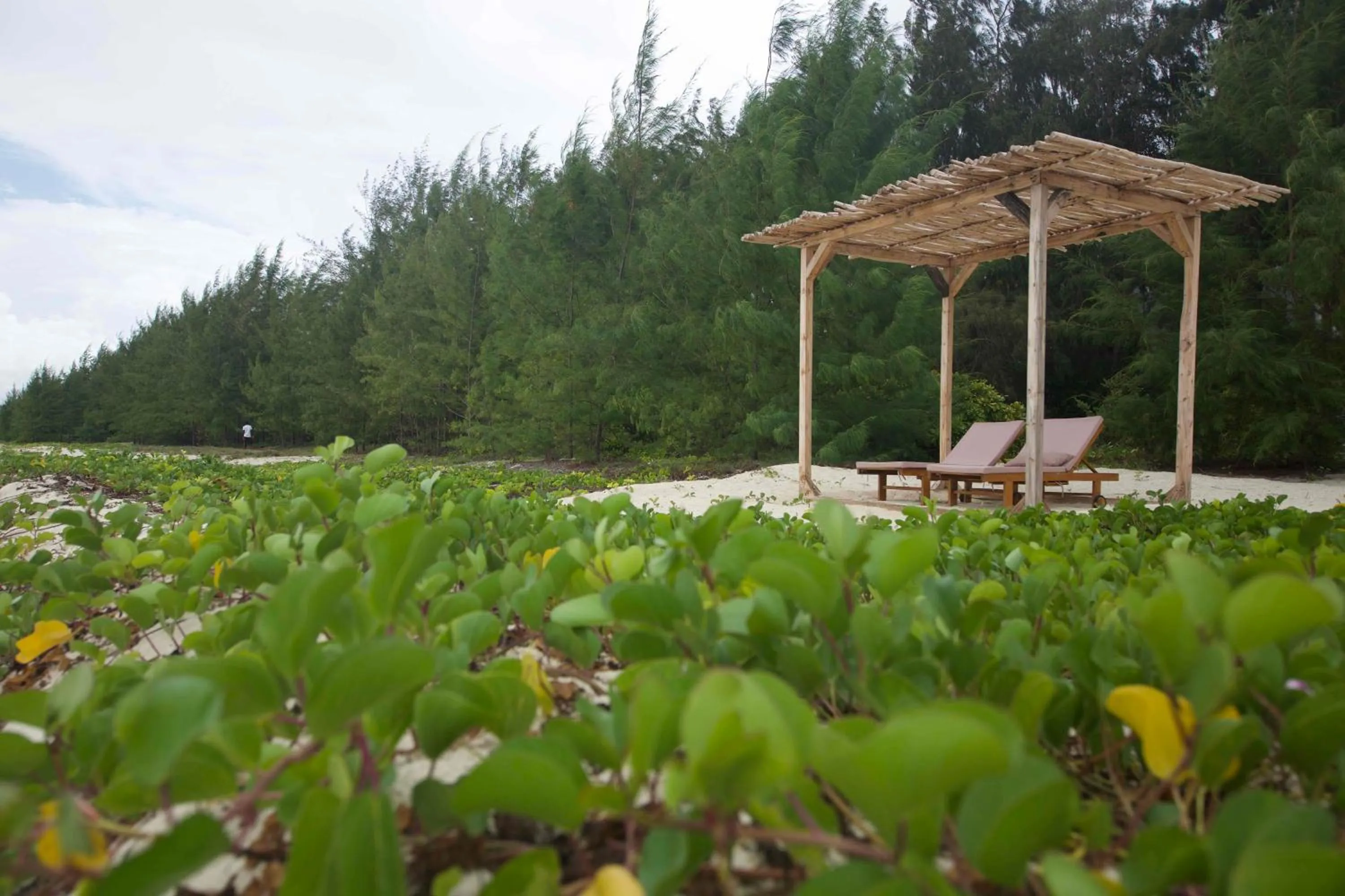 Kivuli Beach Resort Paje