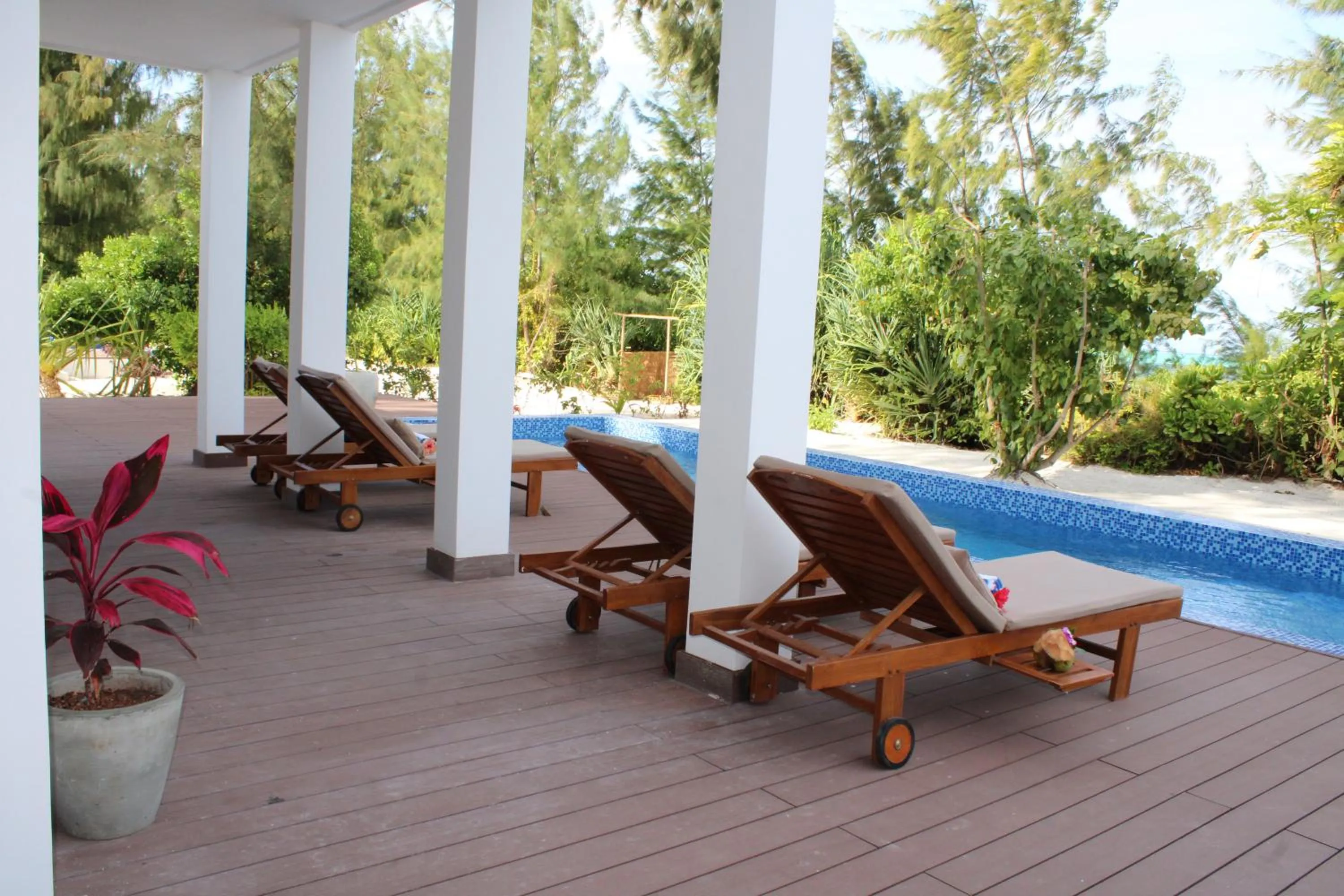 Pool view in Kivuli Beach Resort Paje