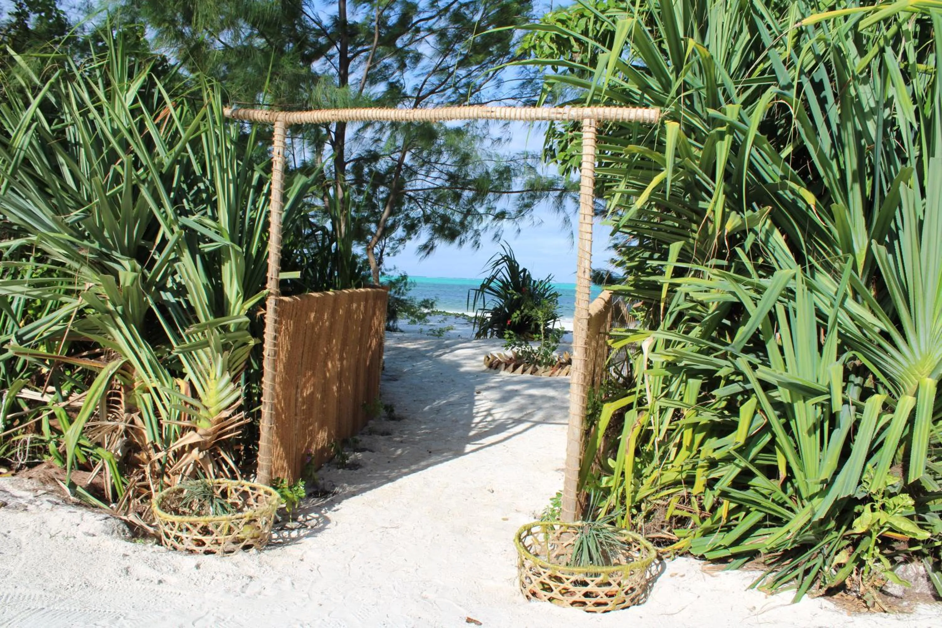 Natural landscape in Kivuli Beach Resort Paje