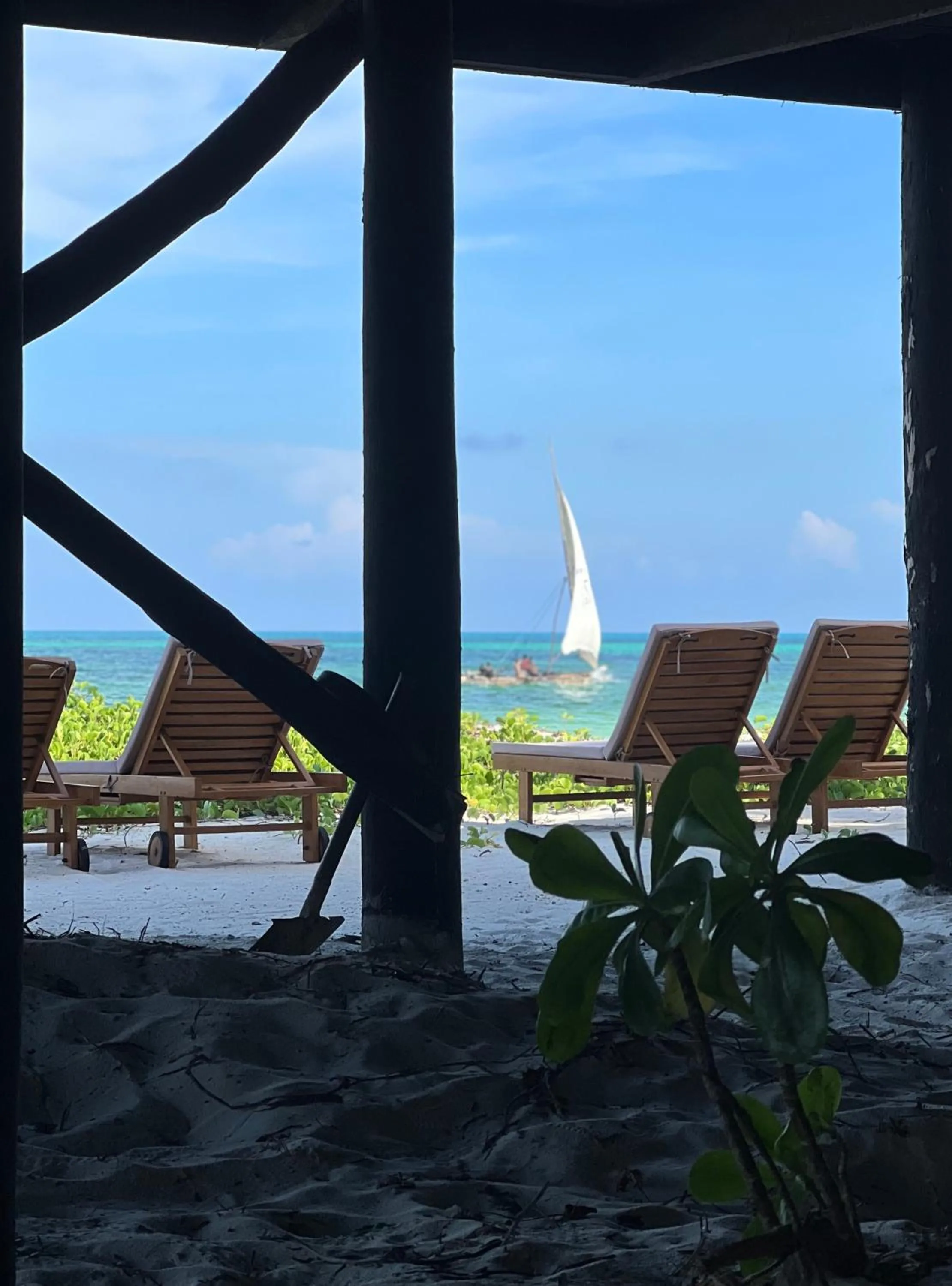 Sea view in Kivuli Beach Resort Paje