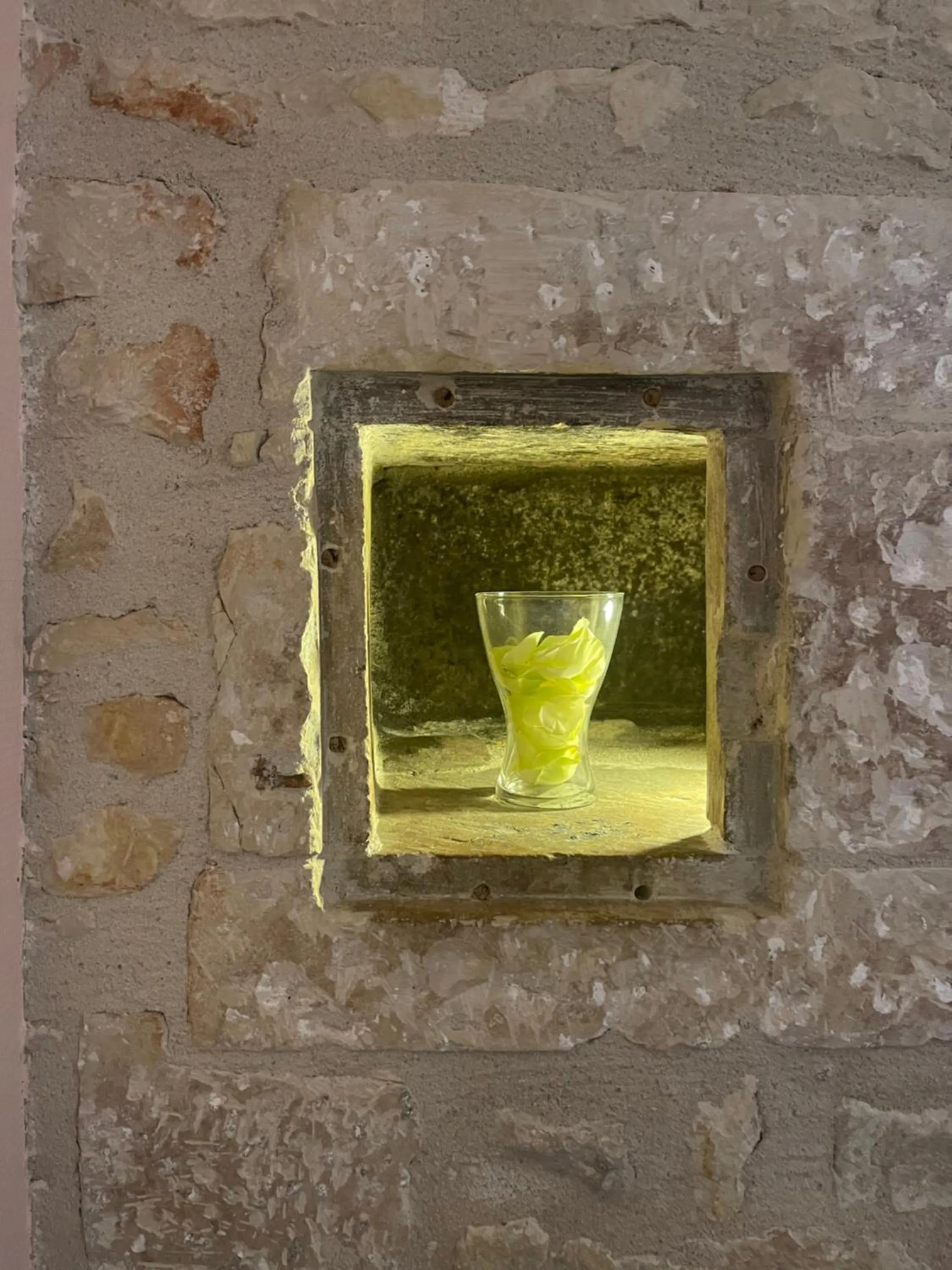 Le Grand Monarque Donzy