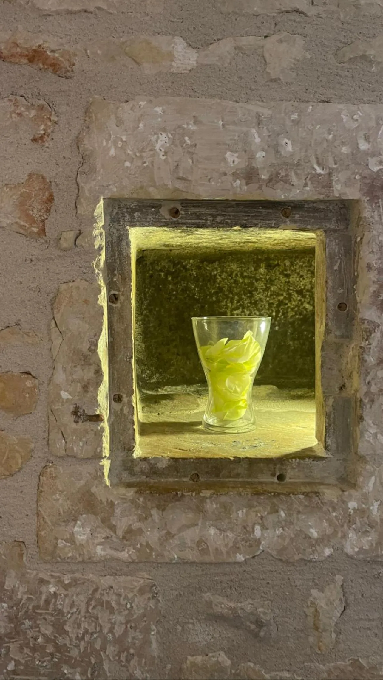 Le Grand Monarque Donzy