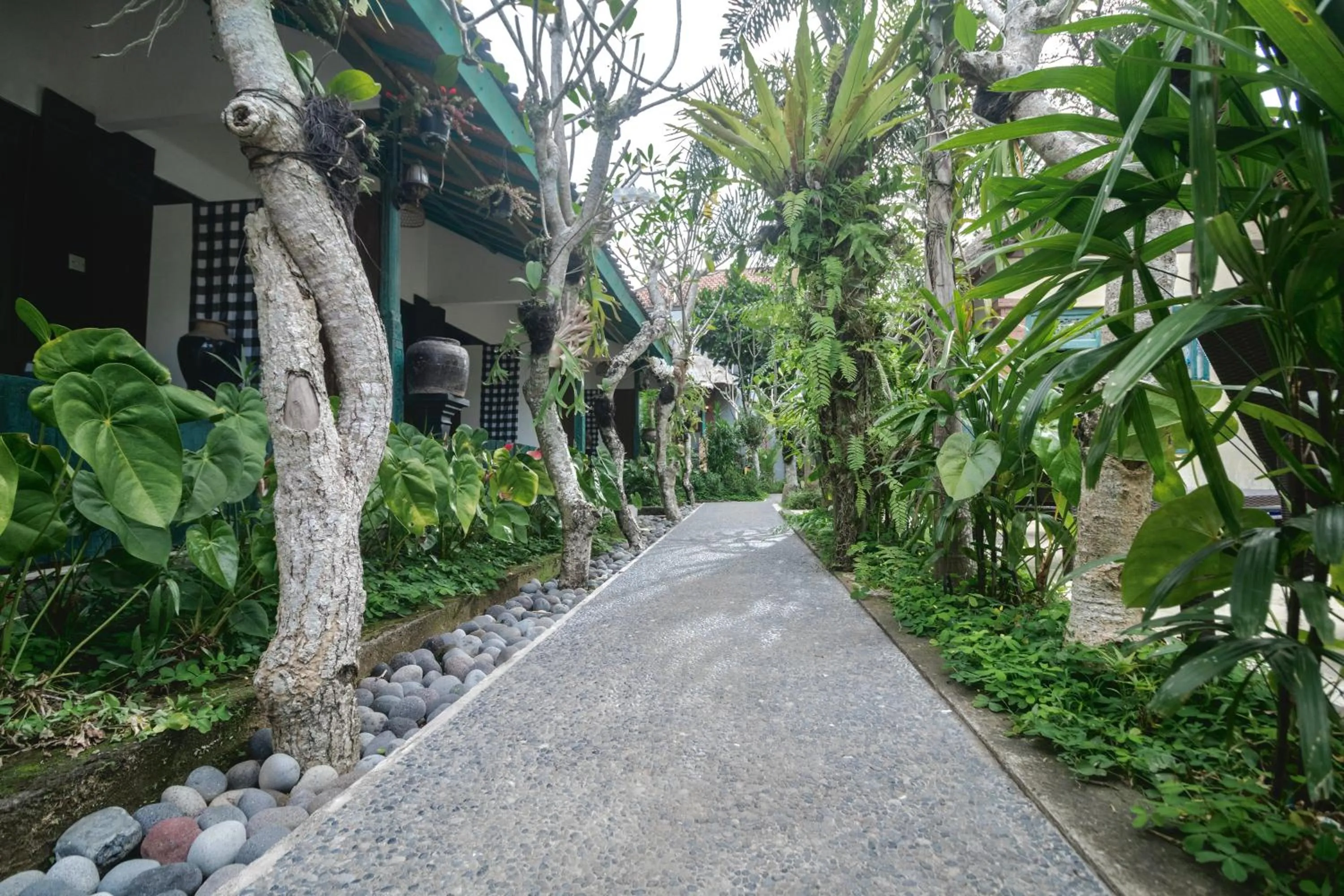 Garden in Nawa Sakti Ubud Suite