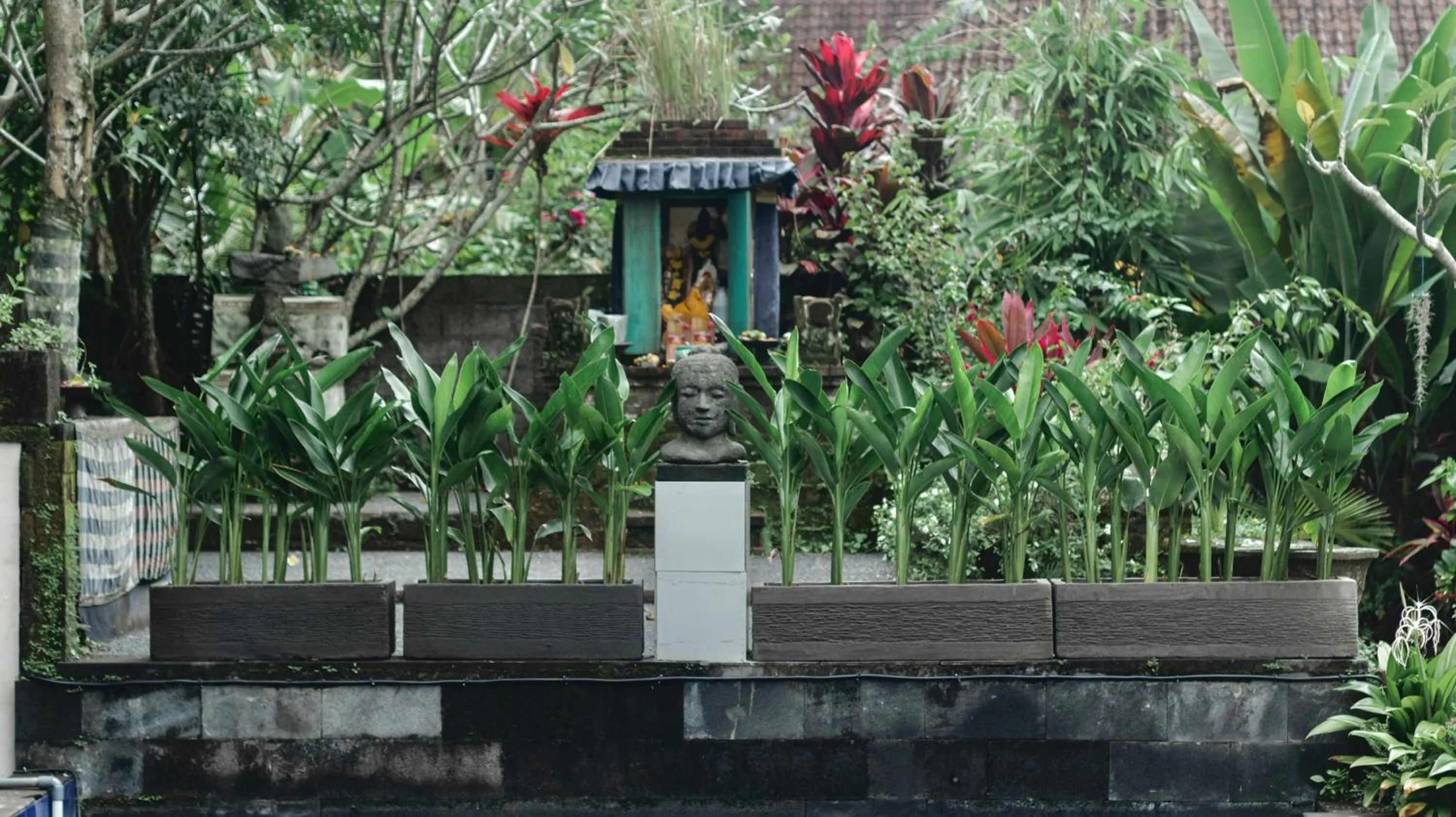 Garden in Nawa Sakti Ubud Suite
