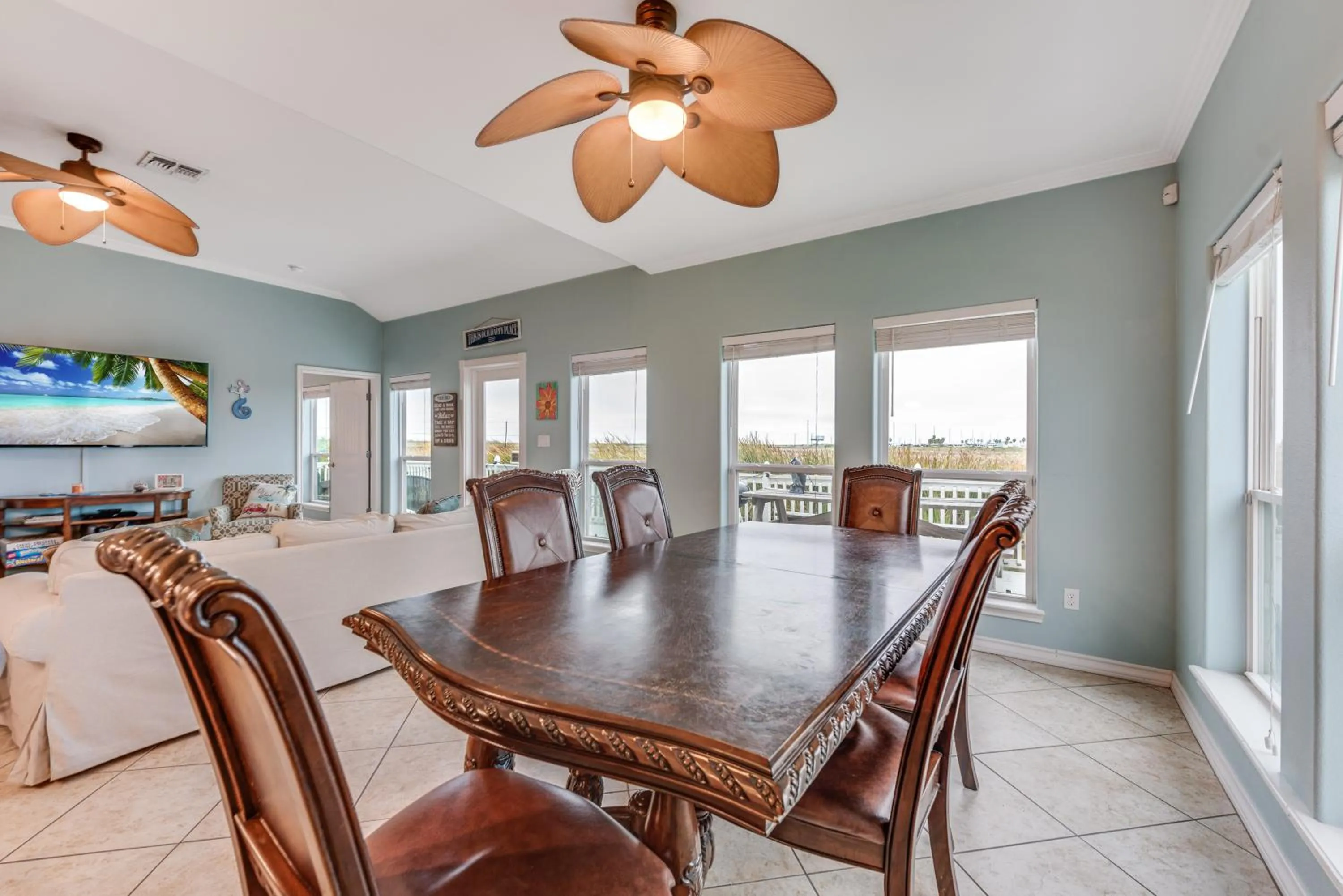 Property building in Sandy Cheeks