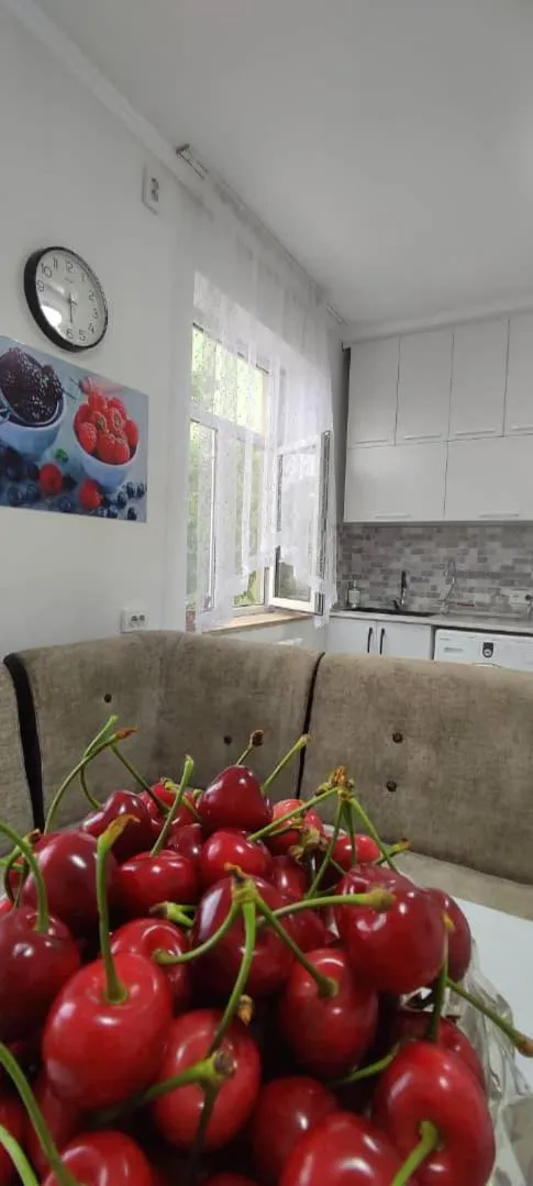 Kitchen or kitchenette in ABS Guest House Osh