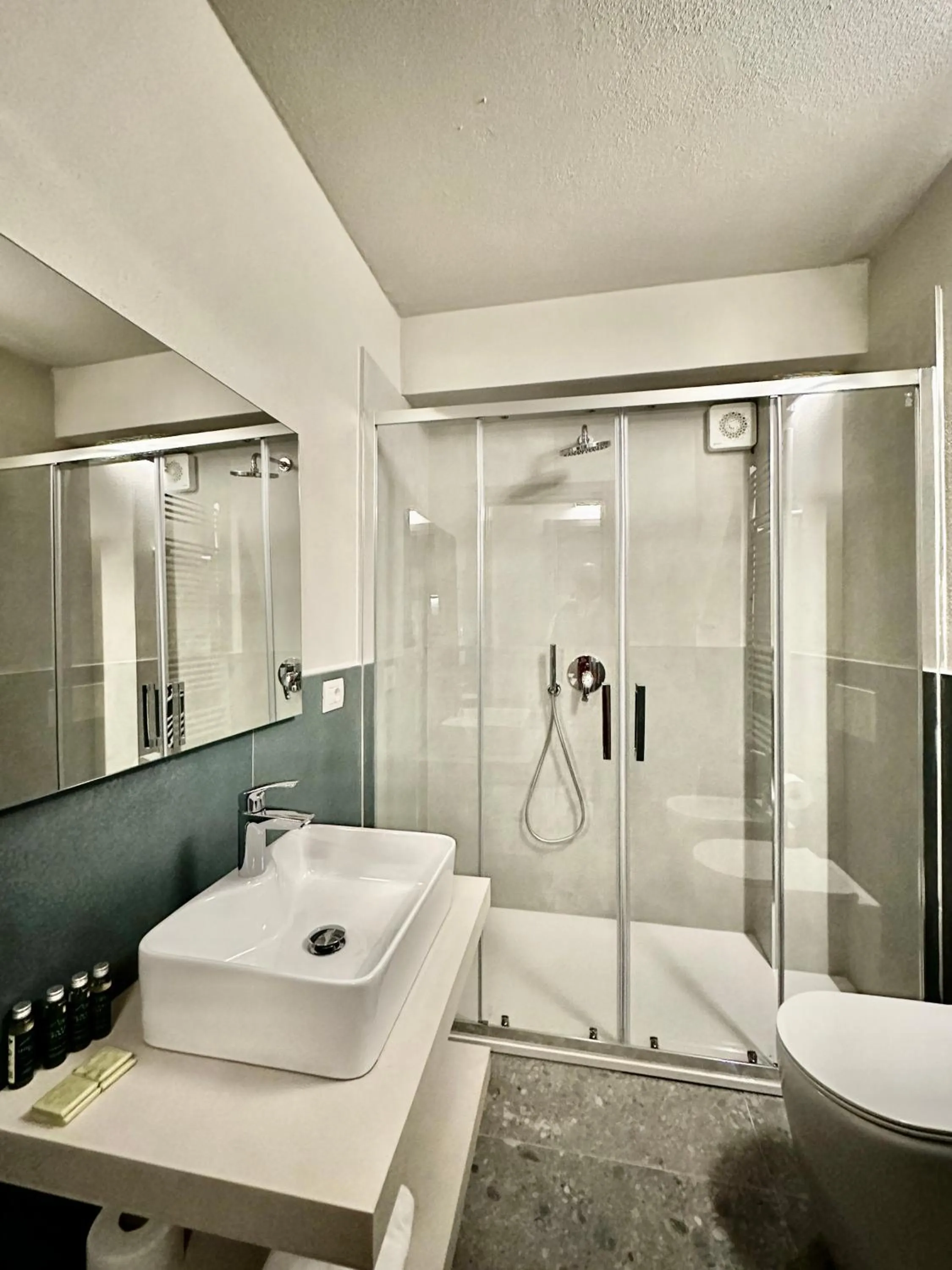 Toilet in Case Verdi