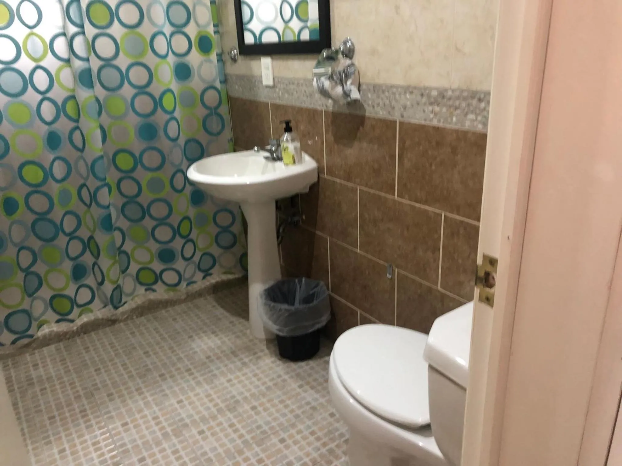 Toilet in Los Robles