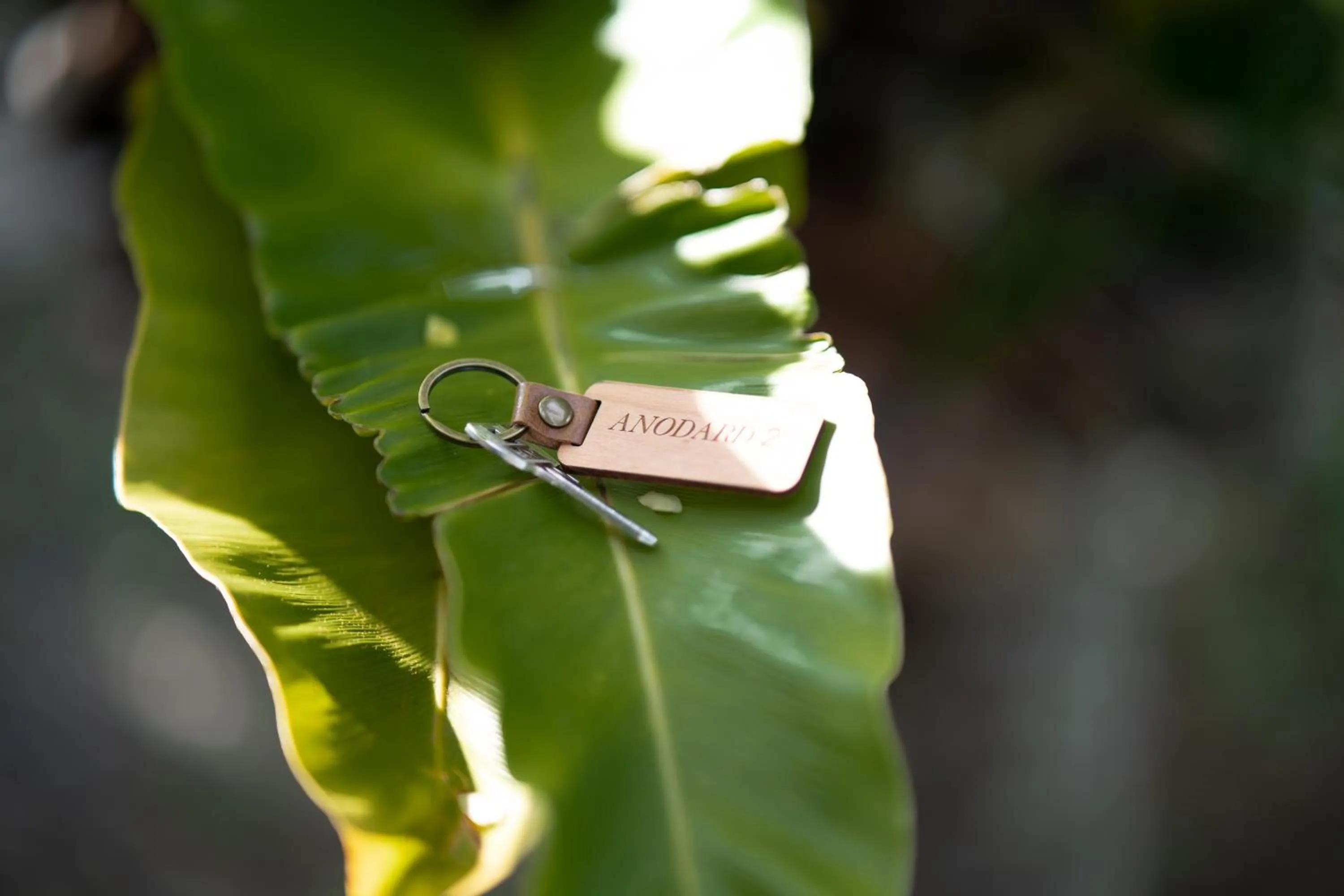 Property building in Anodard Phuket, Nai Yang Beach