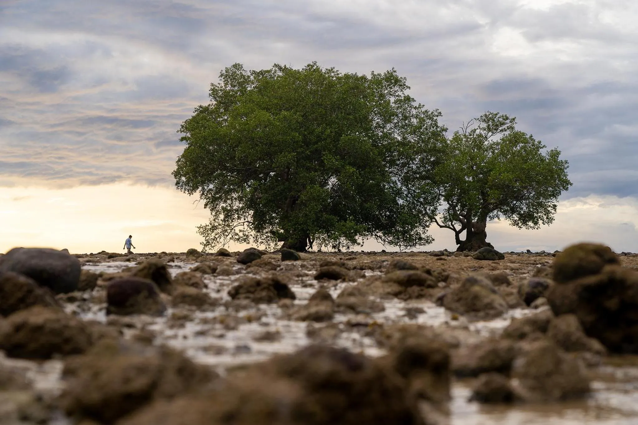 Sea view in Anodard Phuket, Nai Yang Beach