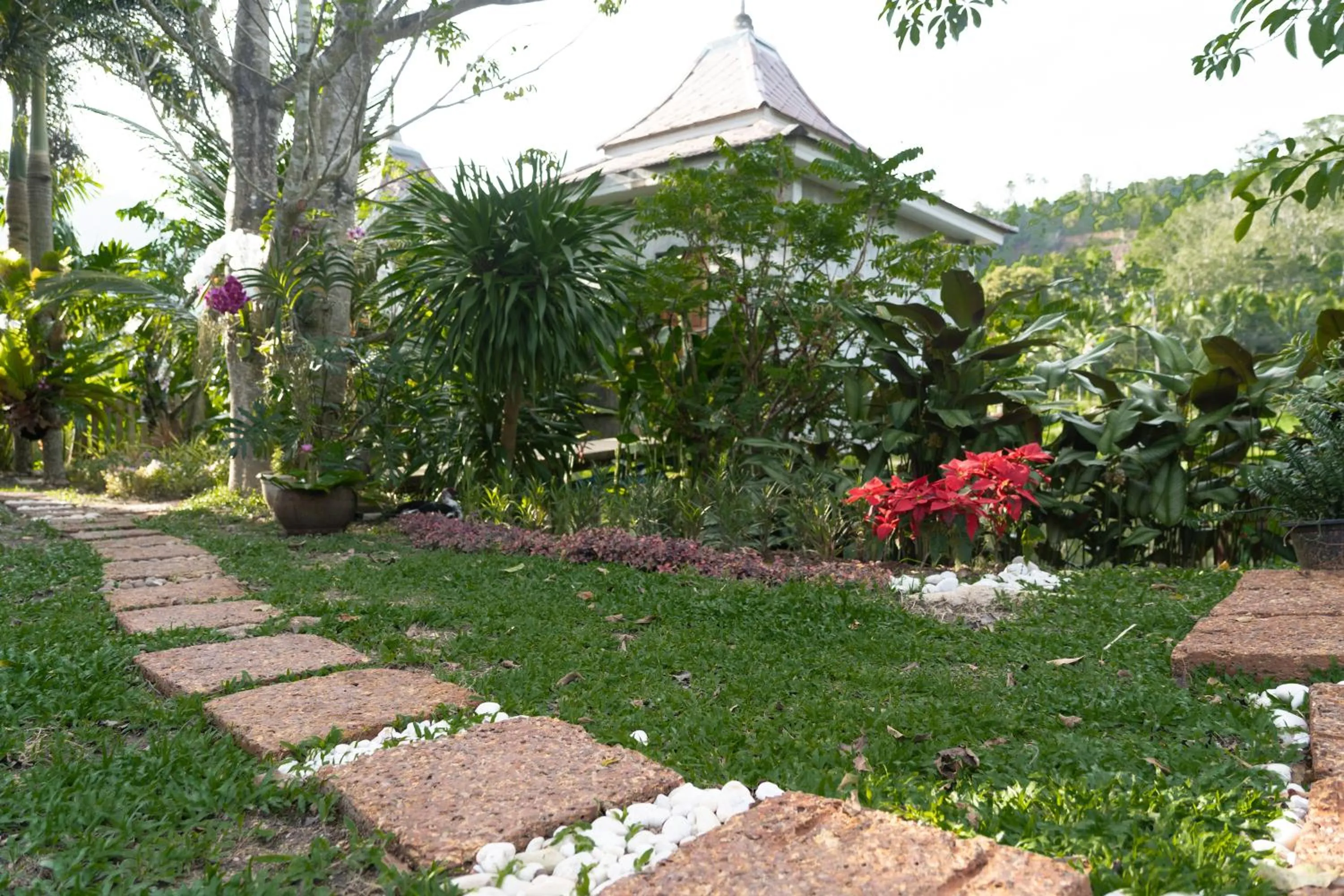 Garden in Anodard Phuket, Nai Yang Beach