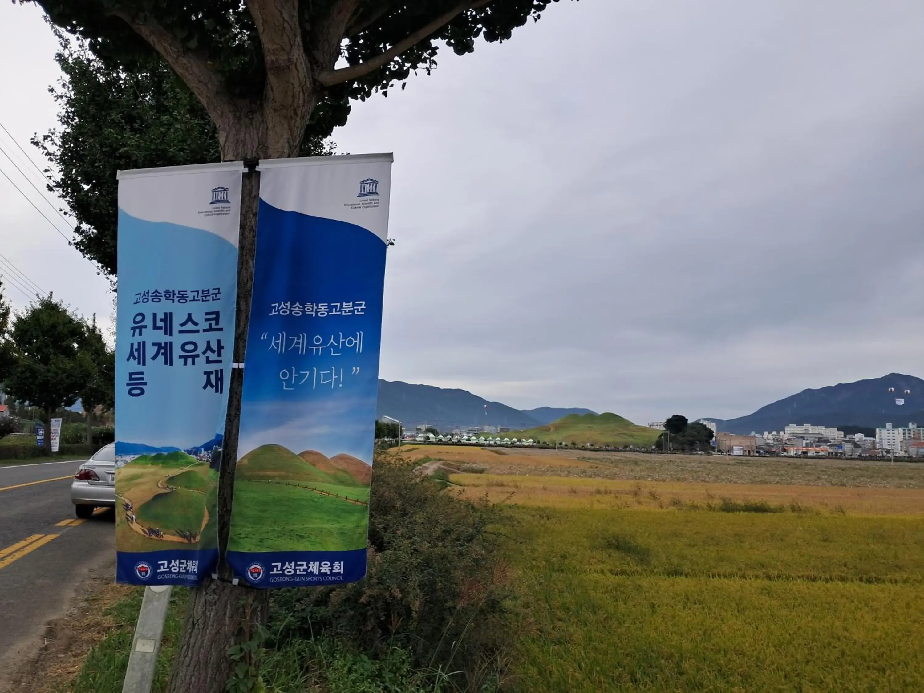 Double Room in Iryang Stay Double Room in Iryang Stay