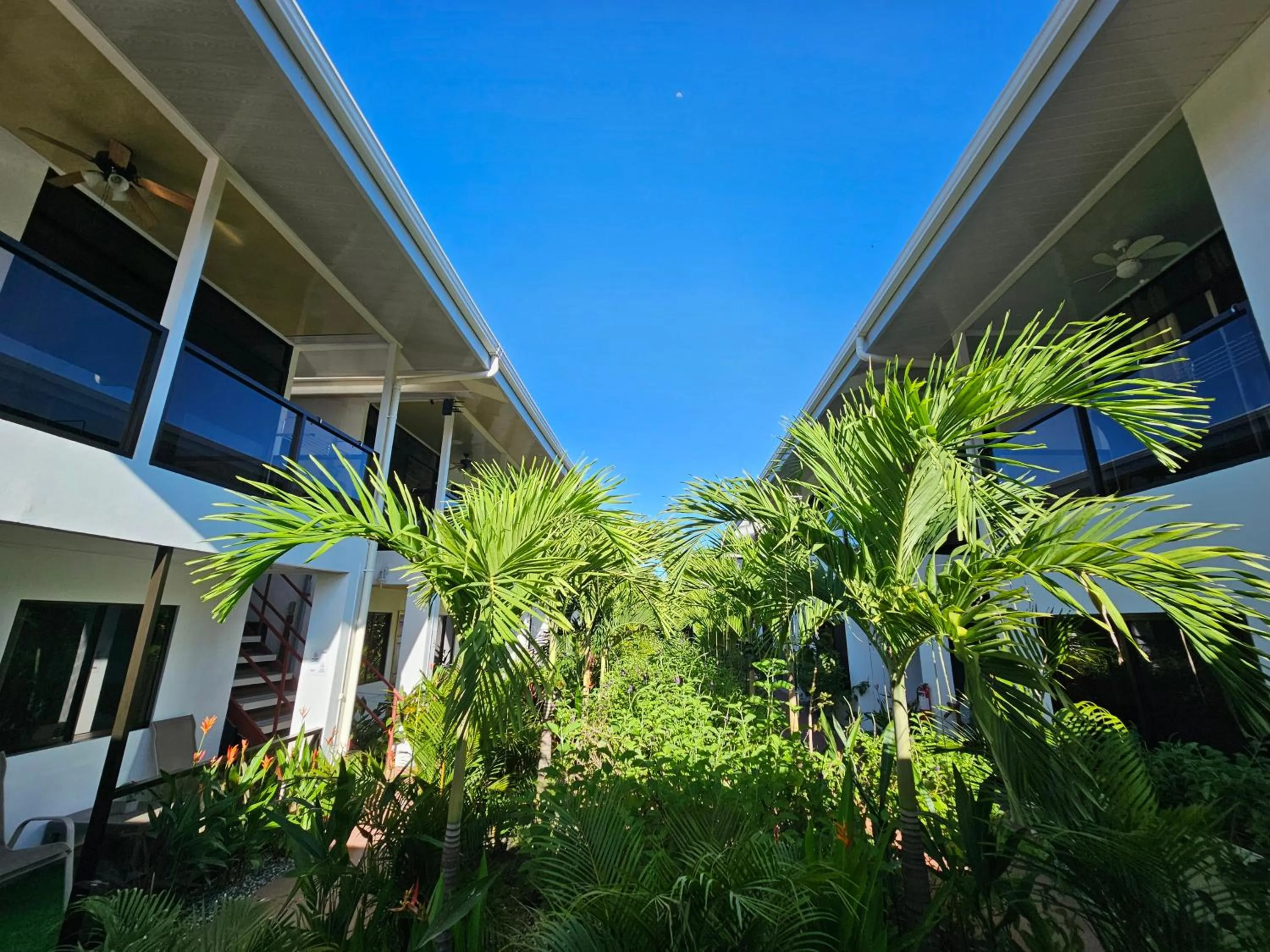 Garden view in Ballena Rey Hotel