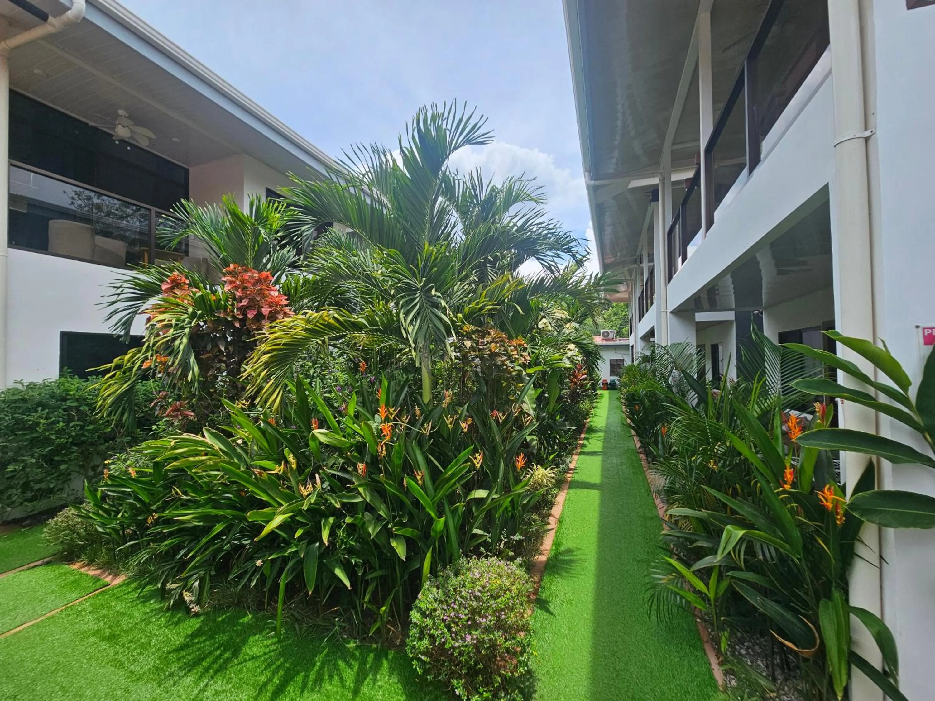 Property building in Ballena Rey Hotel