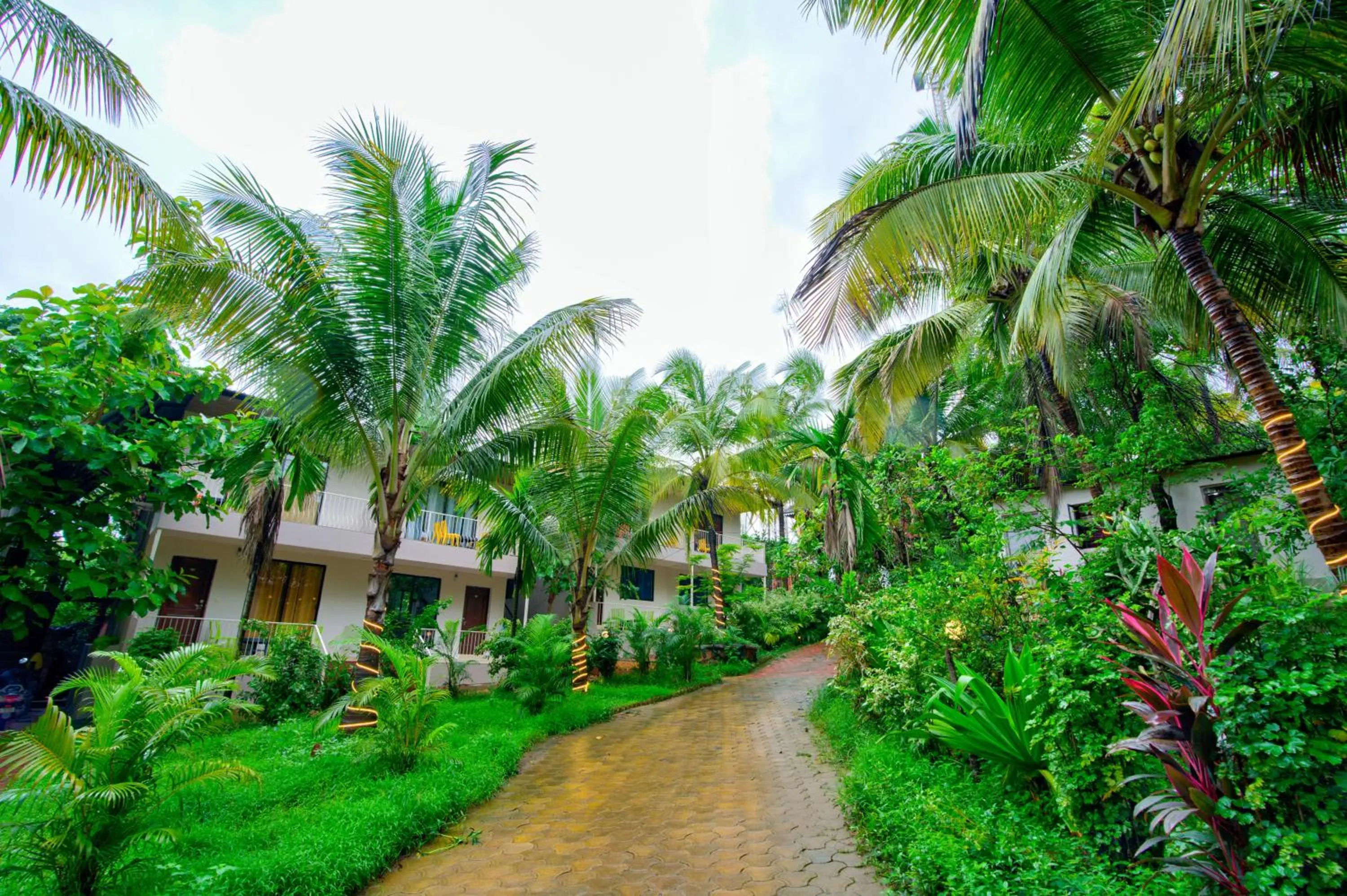 Spring in La Station Resort Vagator