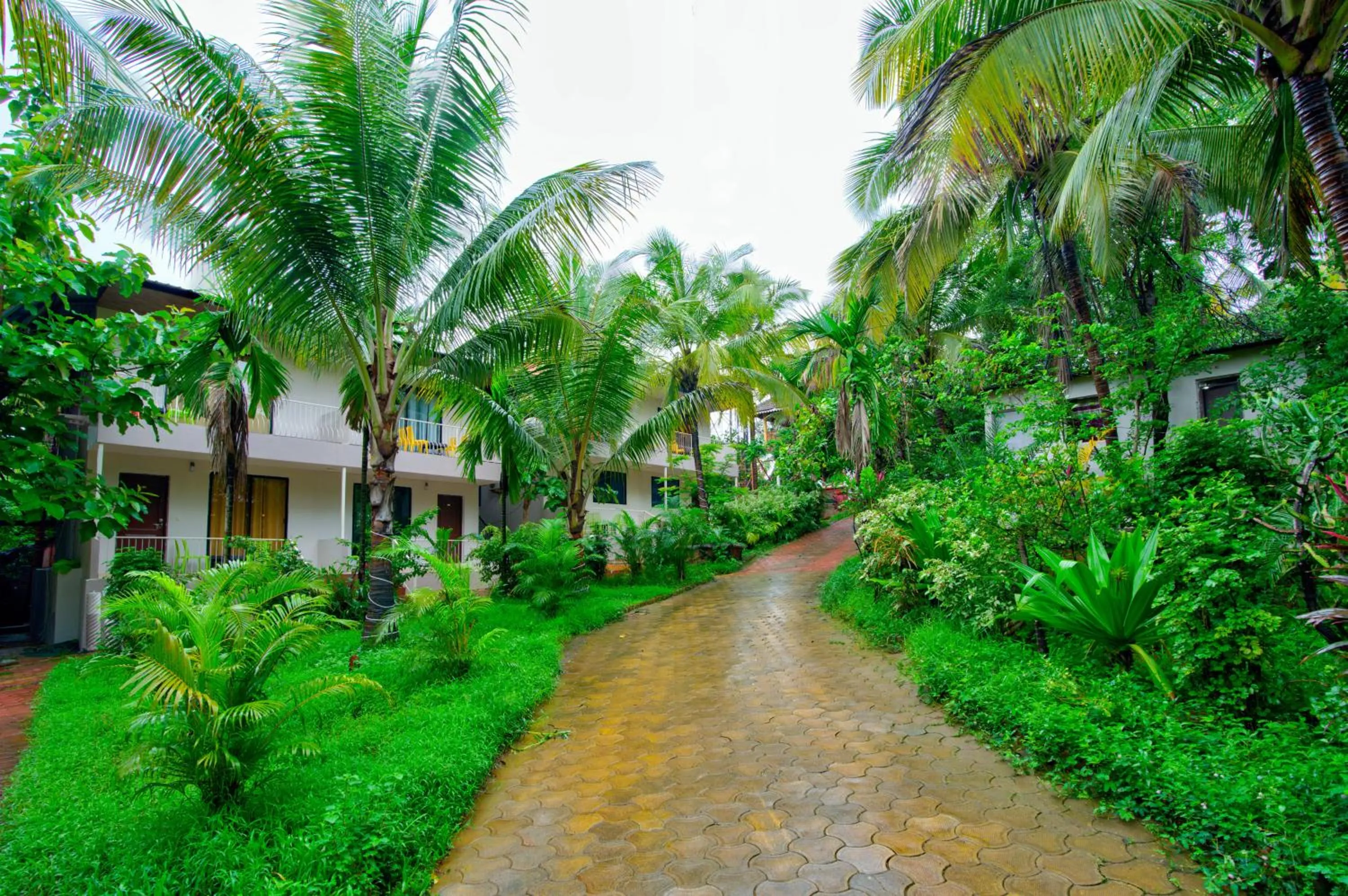 Spring in La Station Resort Vagator