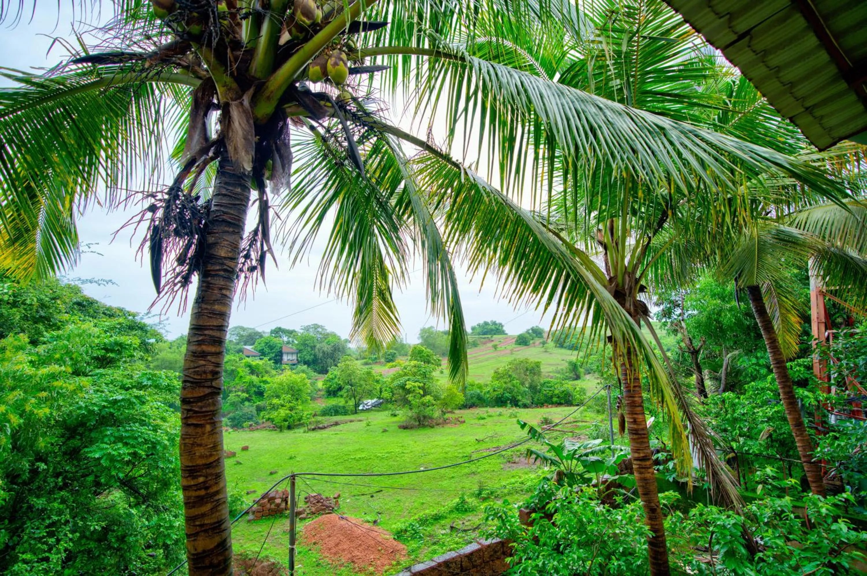 Spring in La Station Resort Vagator