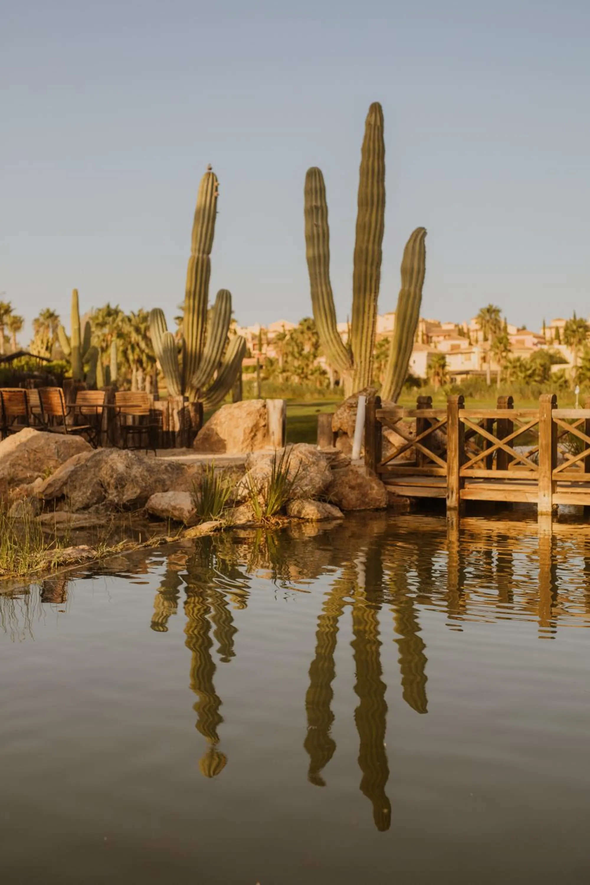 Spring in Desert Springs Resort