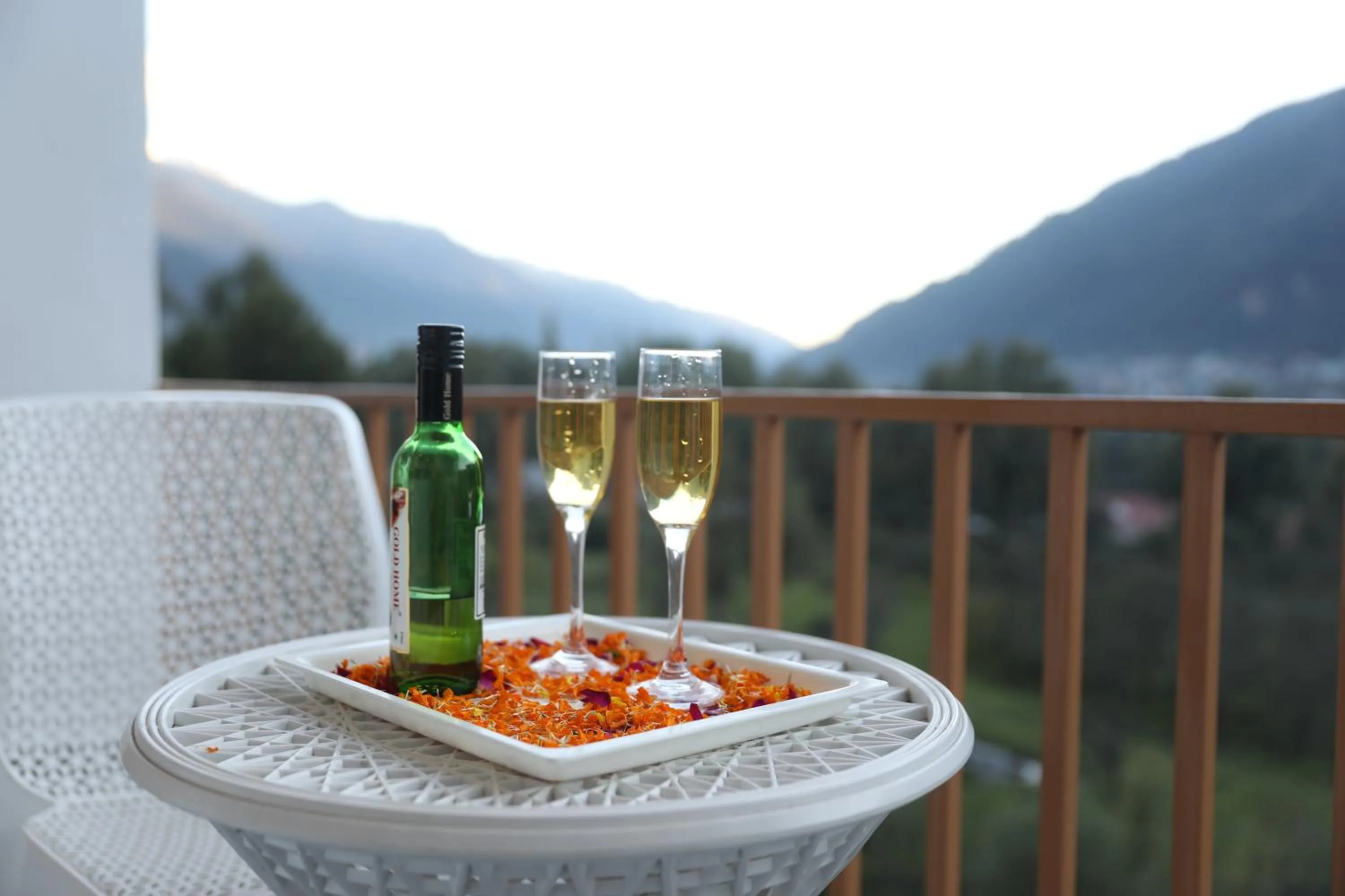 Natural landscape in Hotel NSB Manali