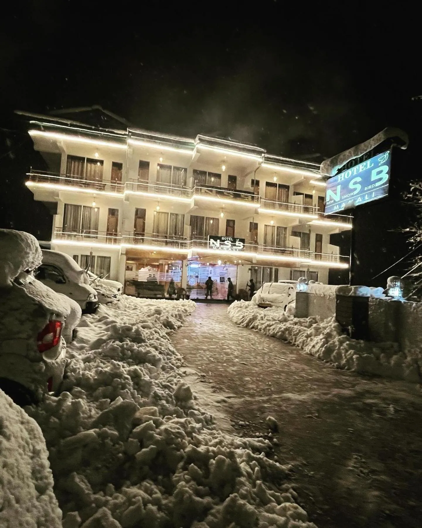 Property building in Hotel NSB Manali