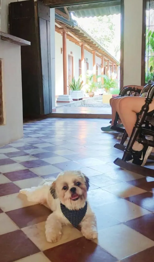 Living room in Albarrada Hotel Boutique